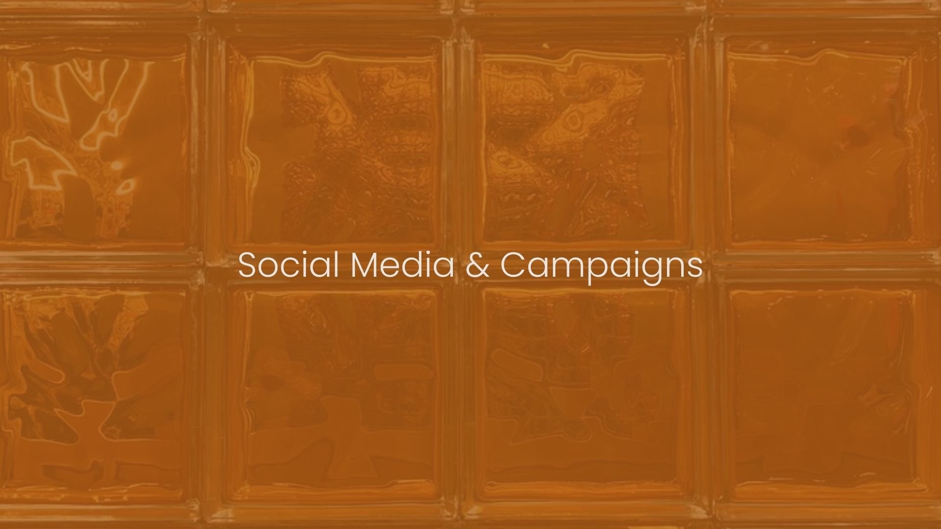 Social Media & Campaigns