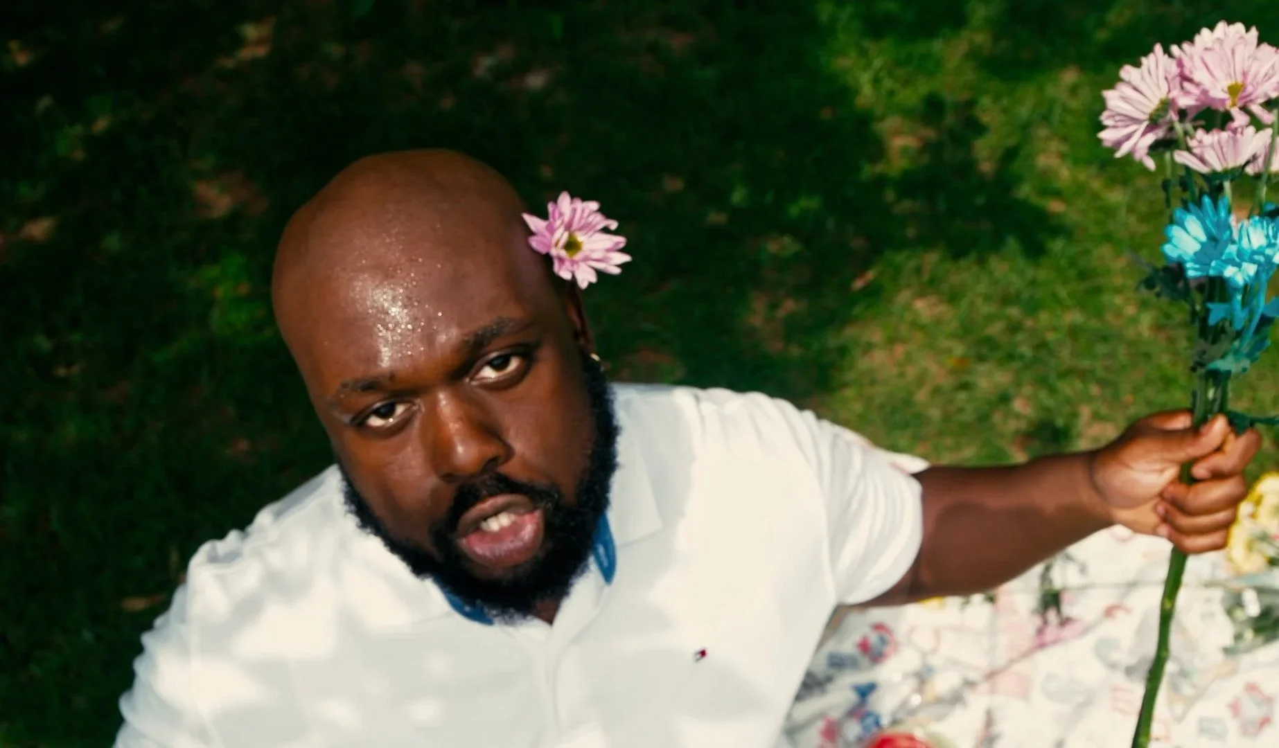 MACP - PICKIN' PETALS