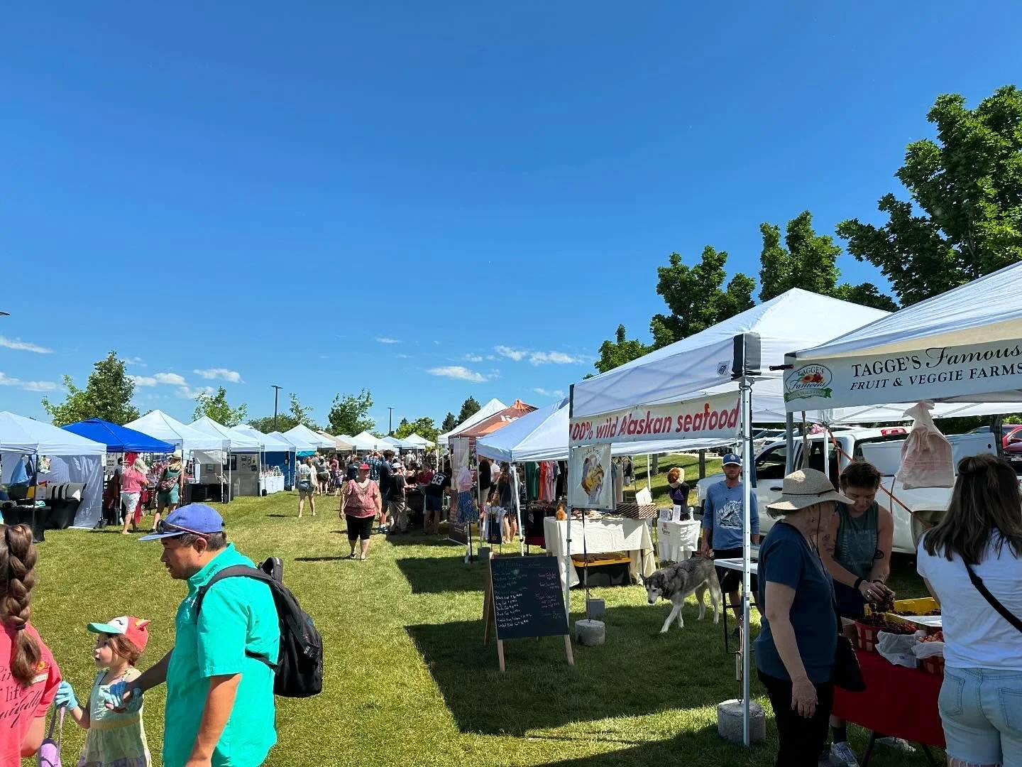 If you get a chance, head over to the @sandy.amphitheater for the weekly @sandycityfarmersmarket!!! It&rsquo;s great!