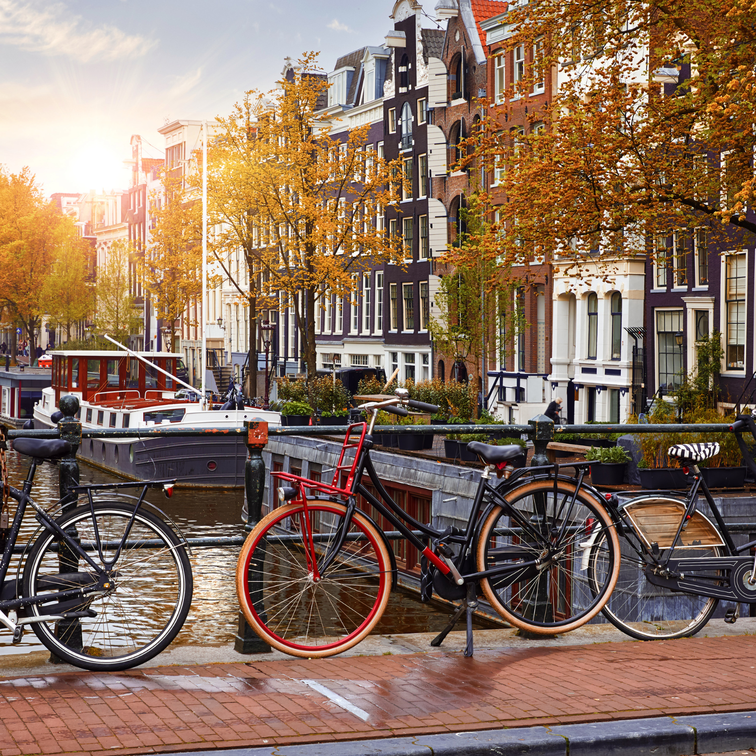 Netherlands Scouting Trip Planning Package