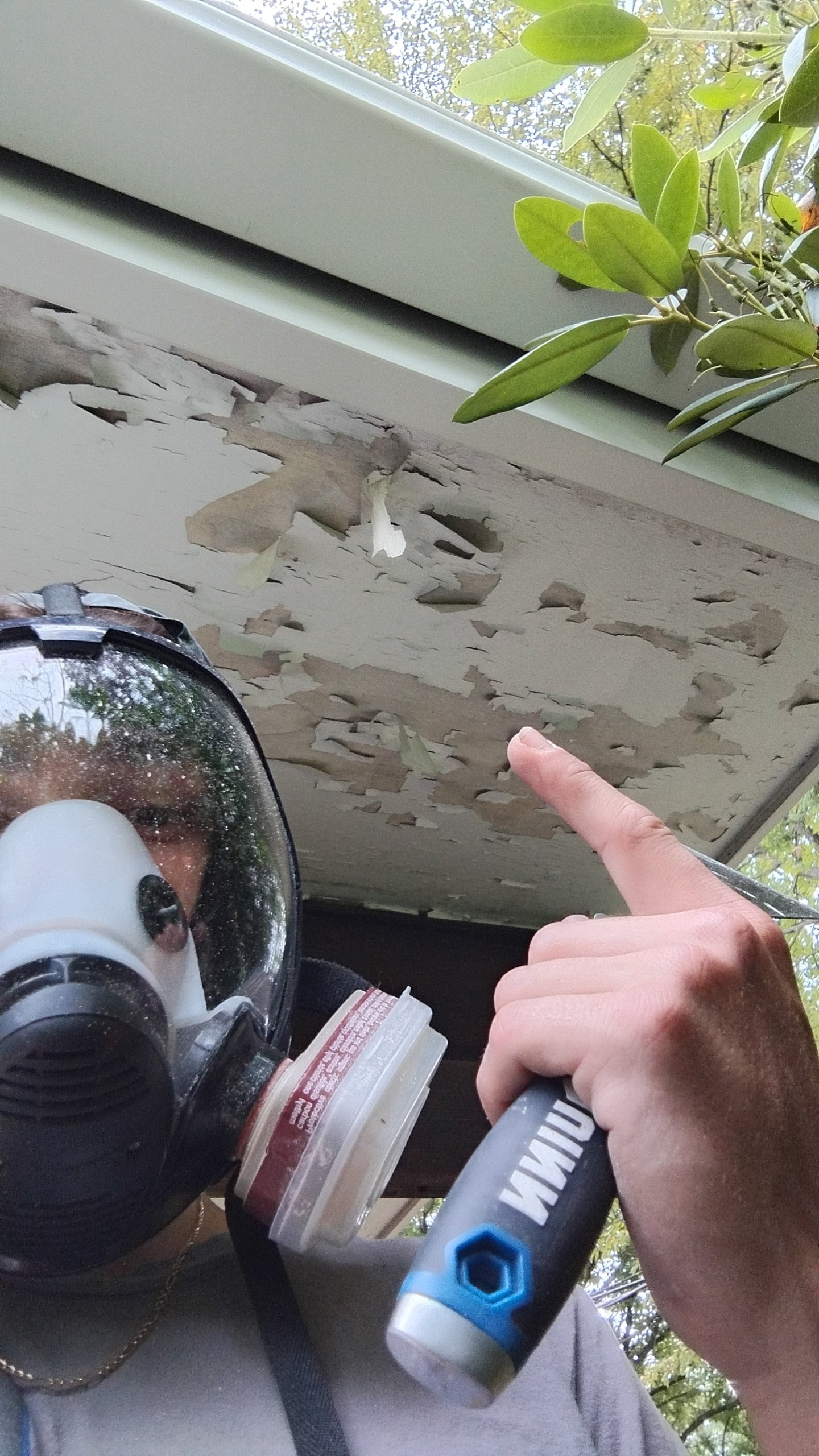 Person wearing a respirator mask and holding a paint removal tool, inspecting a peeling and damaged section of ceiling or roof with peeling paint and exposed wood.