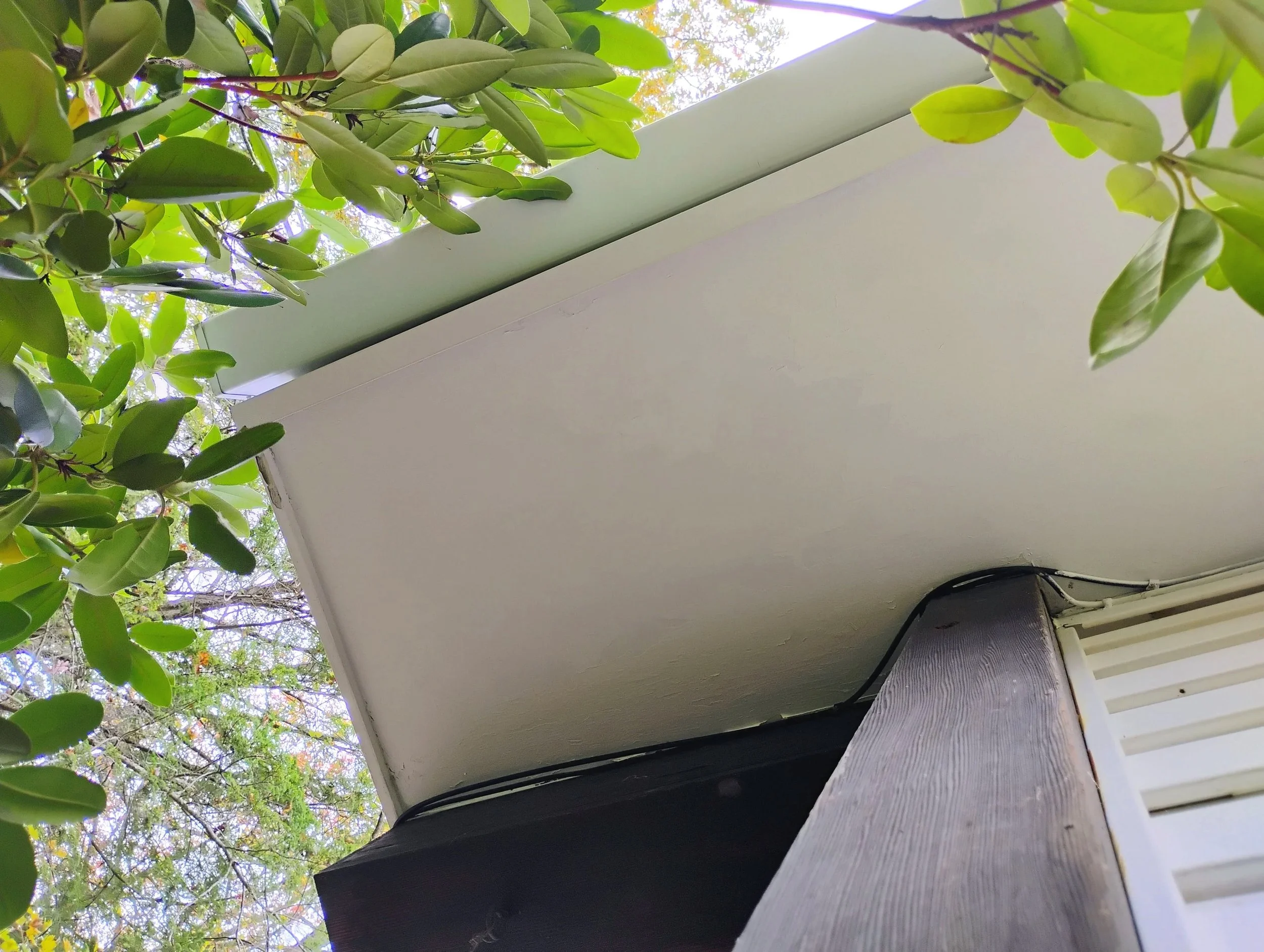 Corner of a white wall with black cables, green foliage around, and a wooden post.