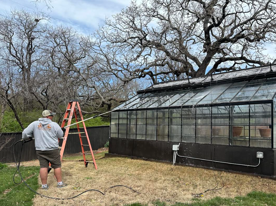 A person using a hose to spray water on a greenhouse in a backyard, with leafless trees and a cloudy sky in the background.