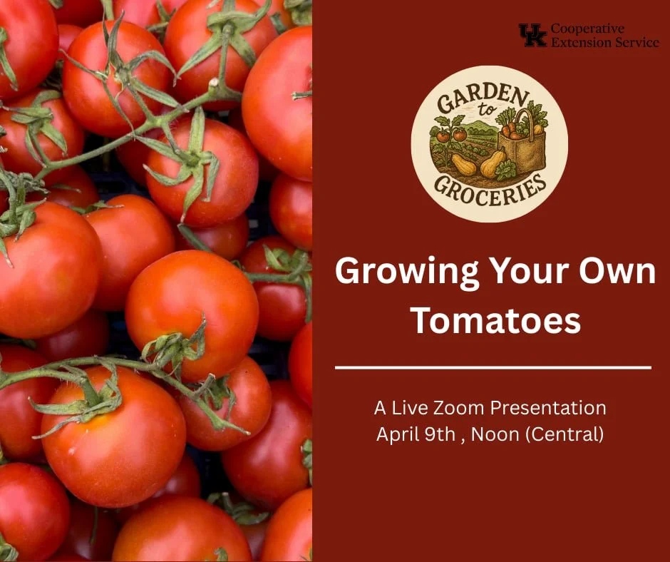 Garden to Groceries - Tomatoes