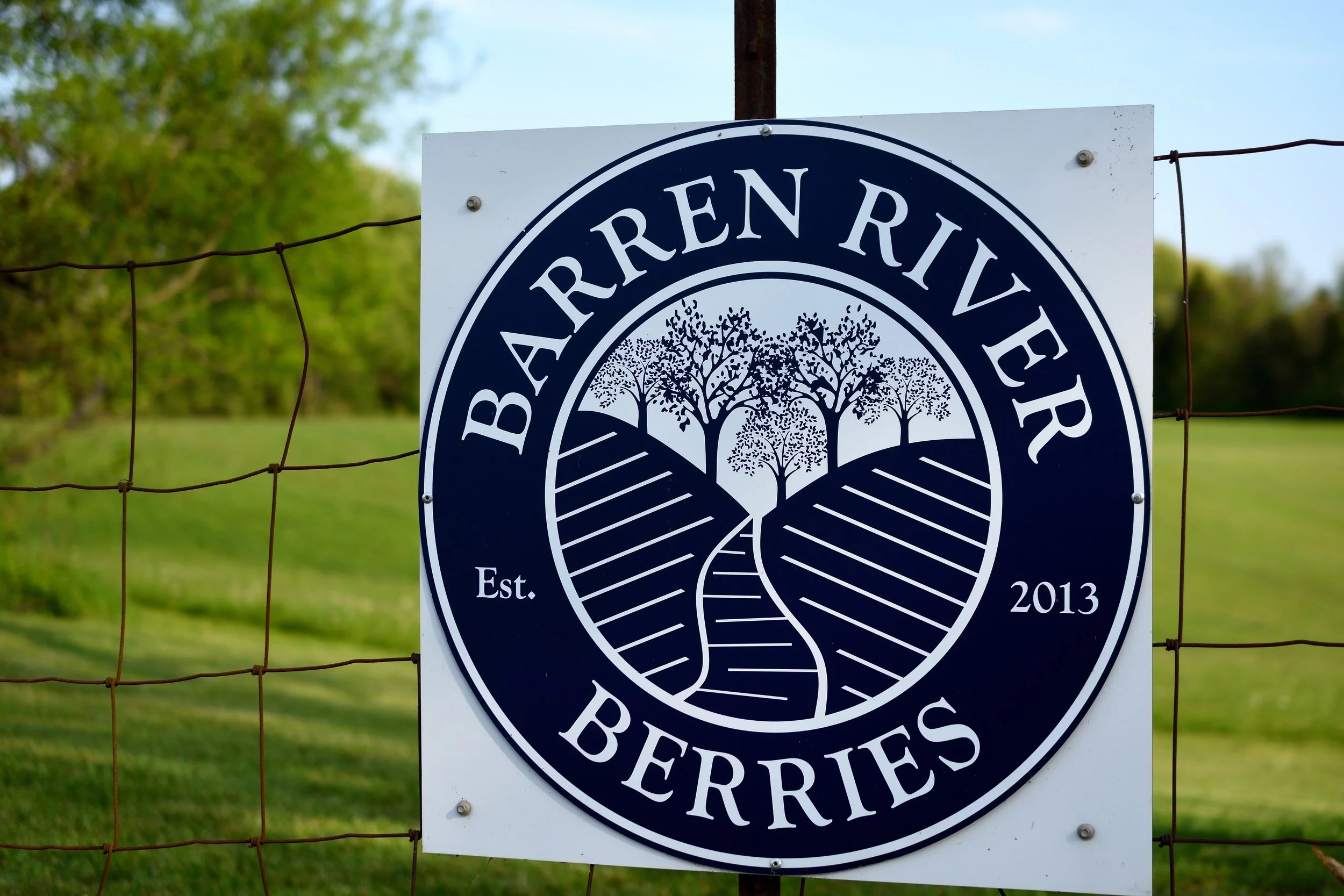 Barren River Berries