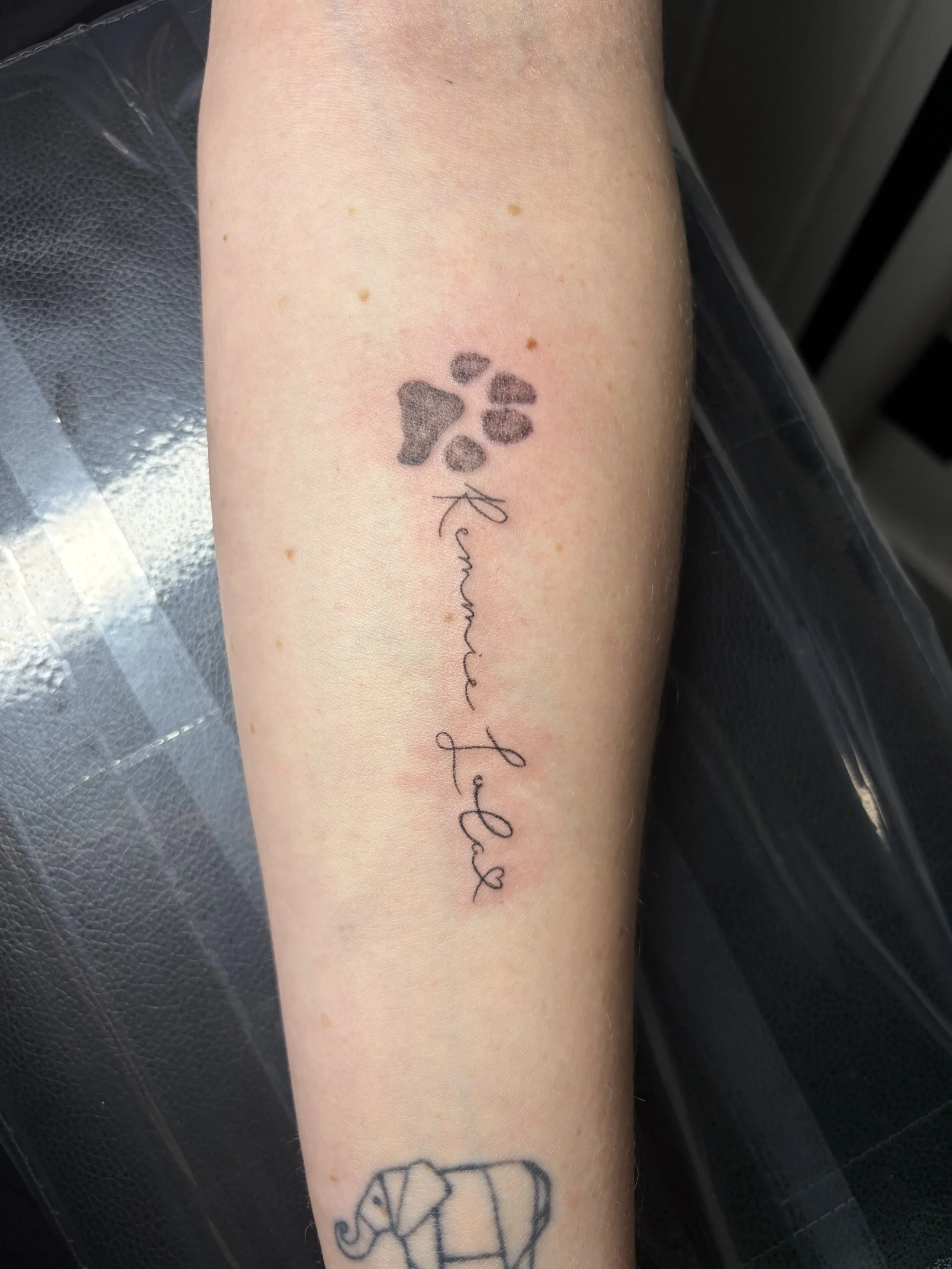 A person's forearm with a tattoo of a paw print and cursive text that reads 'Pawprints in the sands of time' underneath.
