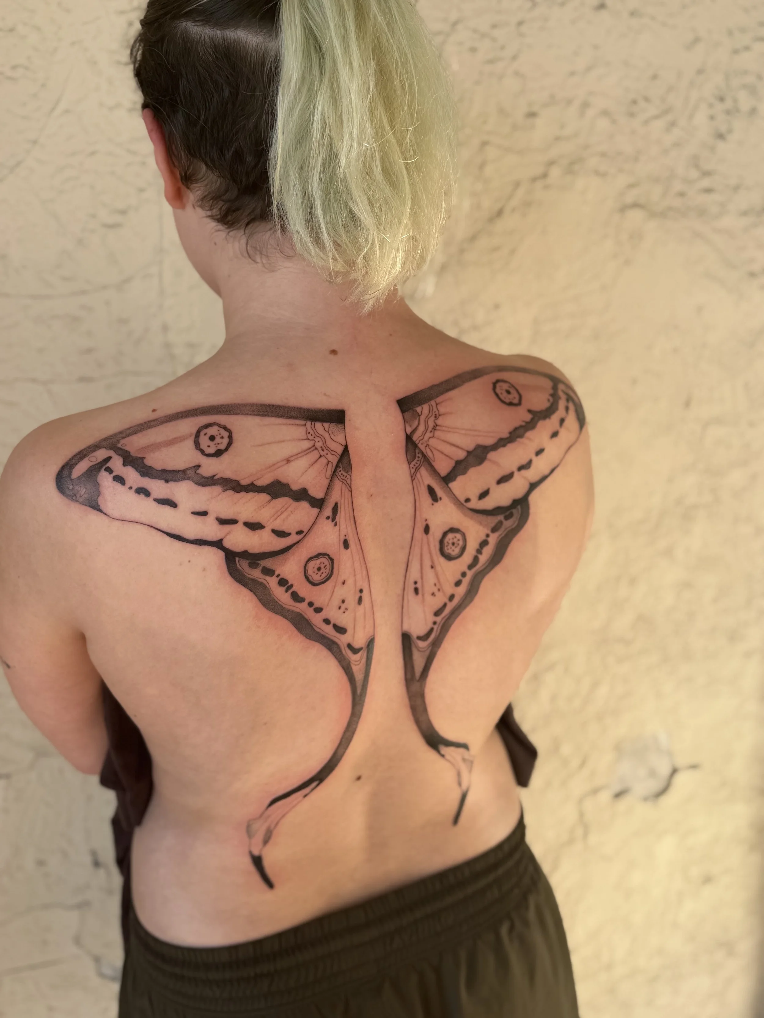 Back of a person with colorful butterfly tattoo on their shoulder and upper back, wearing black shorts, with short two-tone hair, standing against a beige wall.