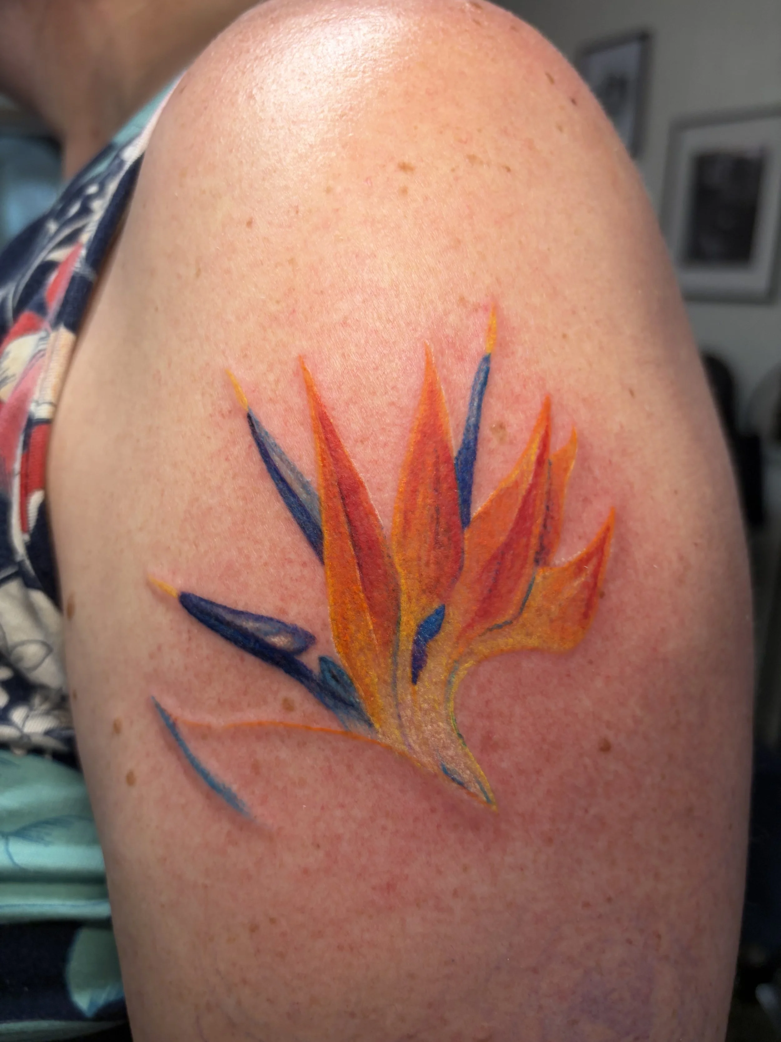 Colorful tattoo of a tropical flower on a person's shoulder, with orange, blue, and yellow petals.
