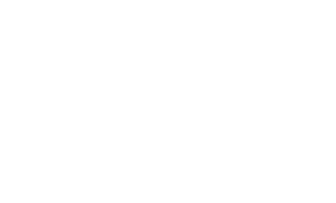 Official Selection See-It End-It Film Fest 2020