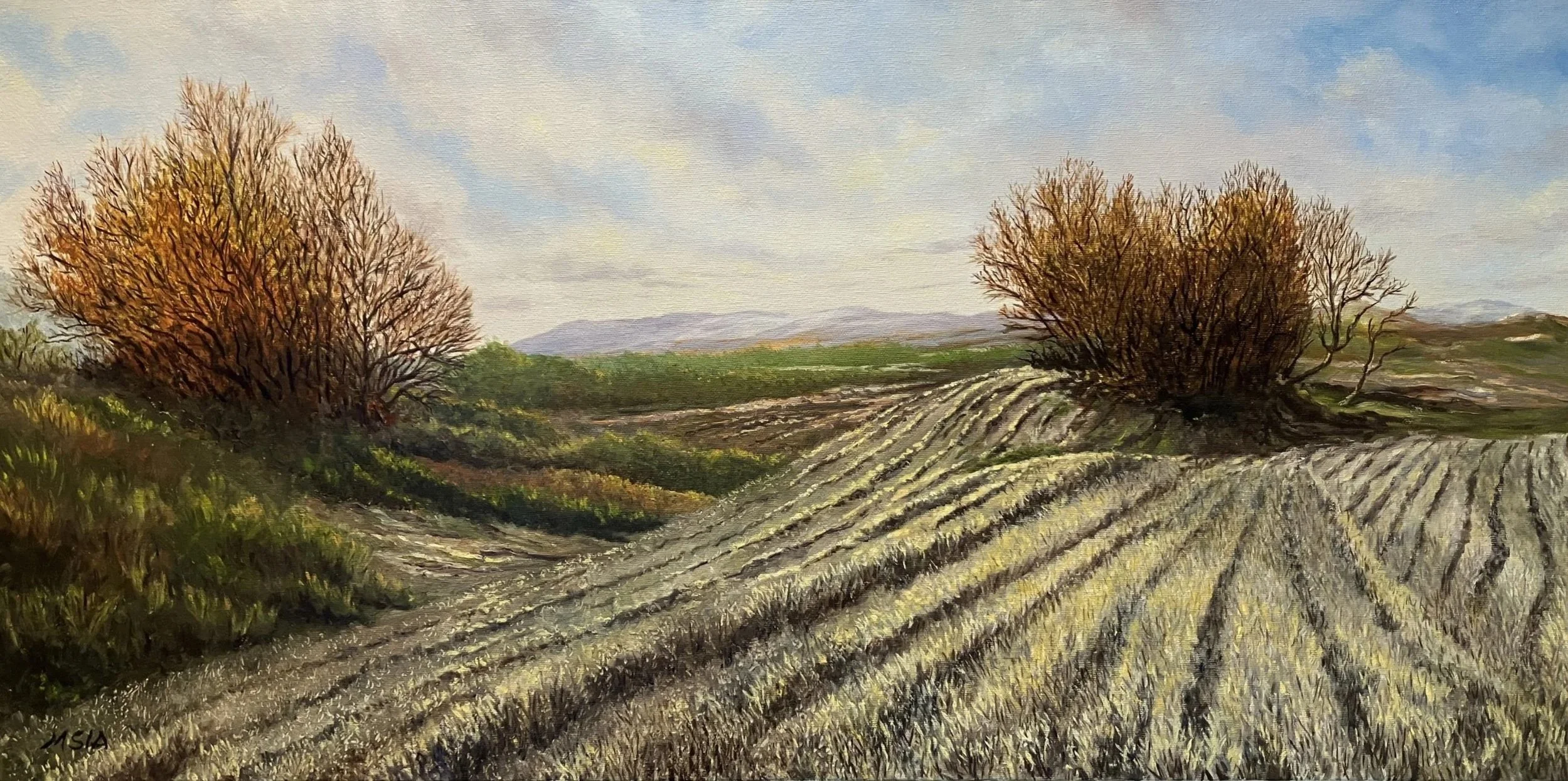  Held By the Open Land  
15" × 30"&nbsp;&nbsp;&nbsp;&nbsp;&nbsp;&nbsp;2004