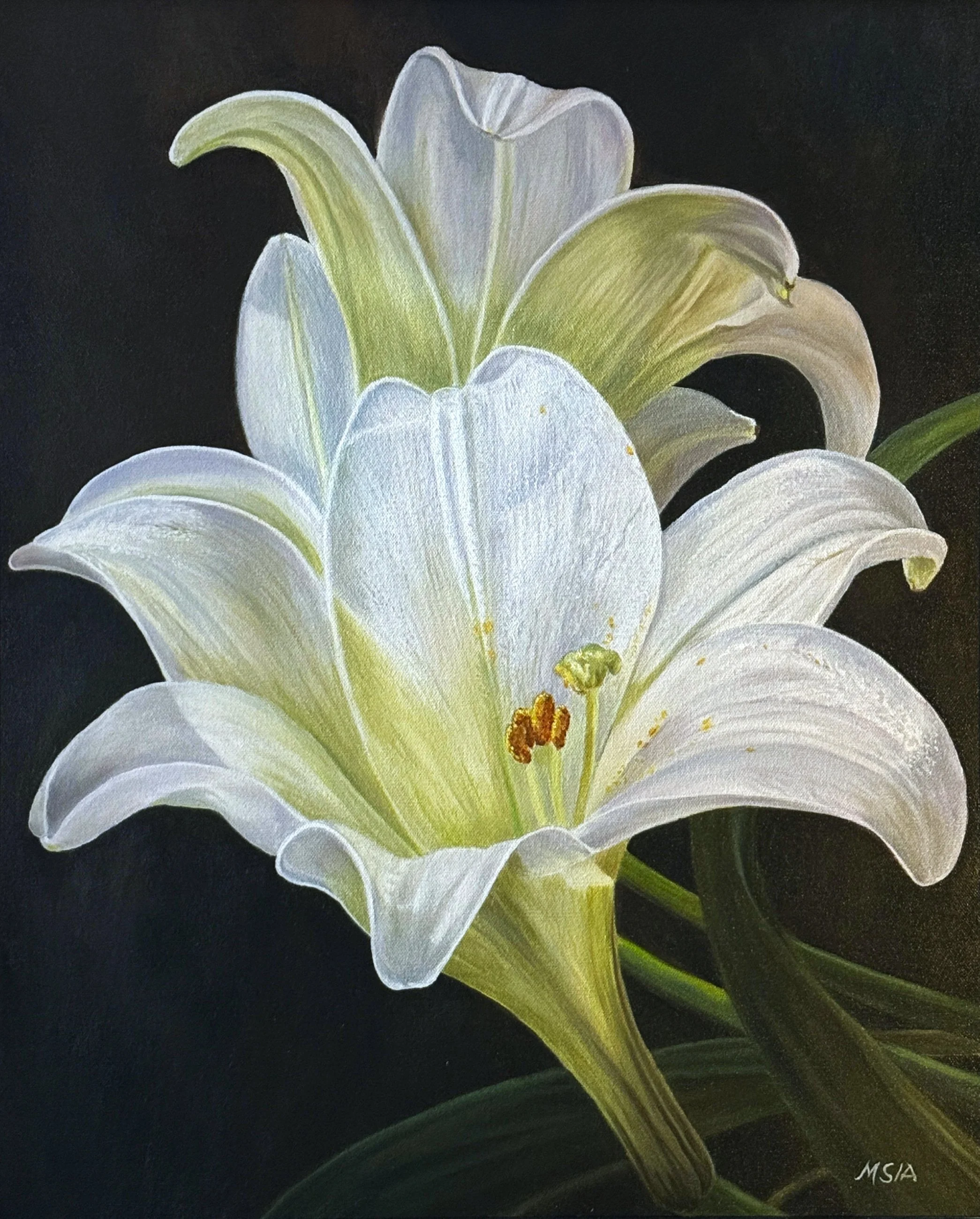  Stillness in Bloom  
24" × 20"&nbsp;&nbsp;&nbsp;&nbsp;&nbsp;&nbsp;&nbsp;&nbsp;&nbsp;2003