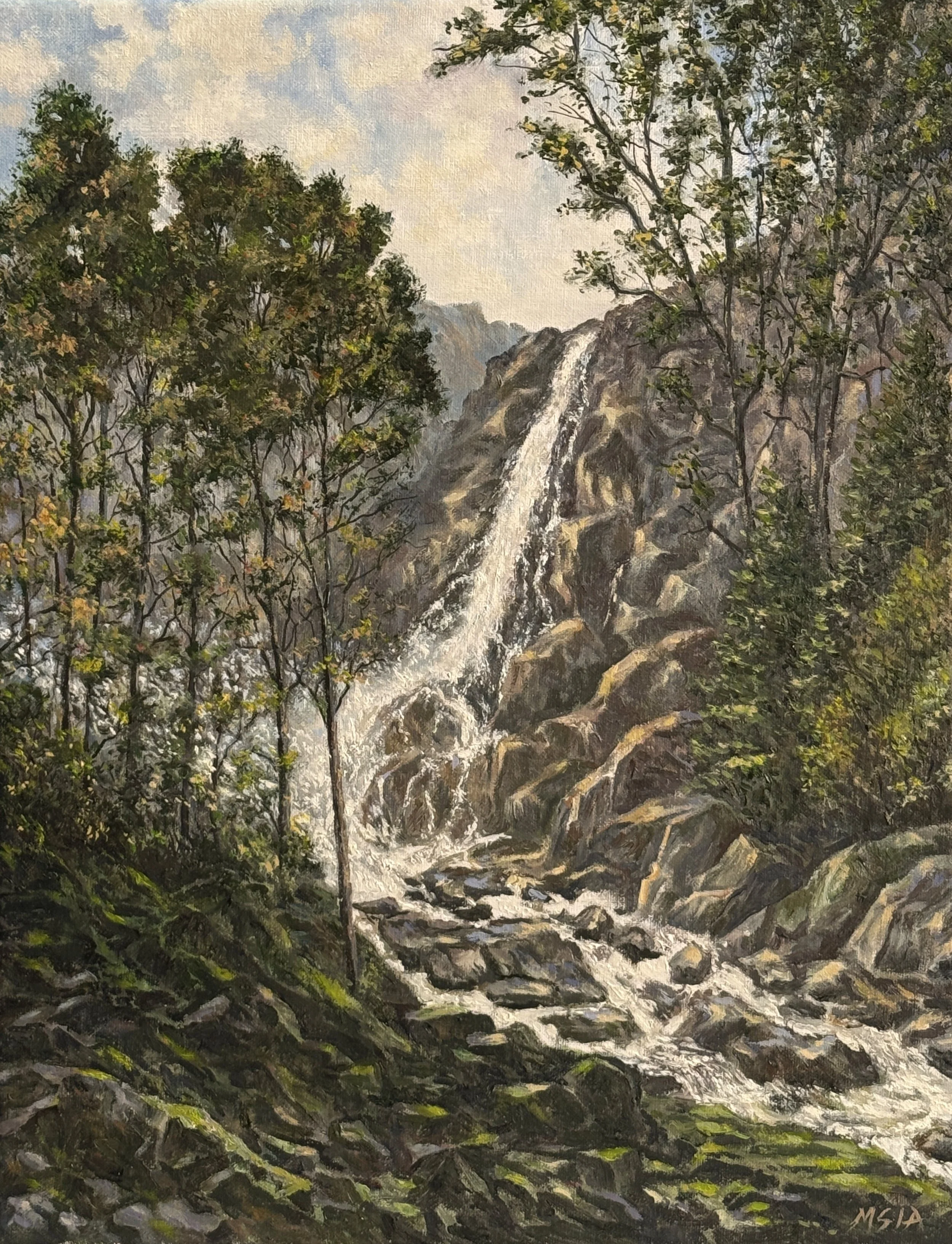 Where the Water Finds Its Descent.jpg