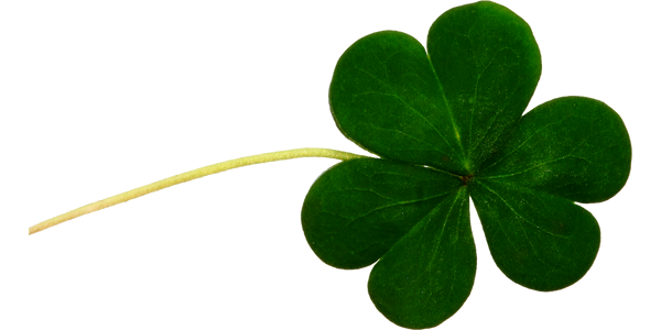 A three-leaf clover with green leaves and a light-colored stem.