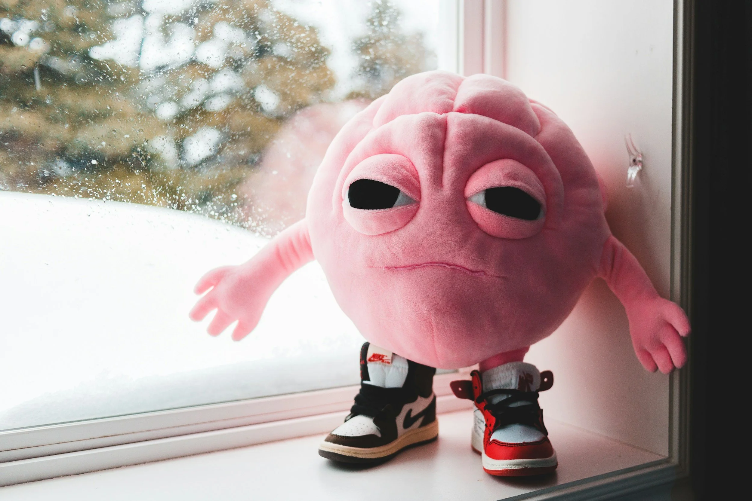 Fix The Brain Rot In Your Kid