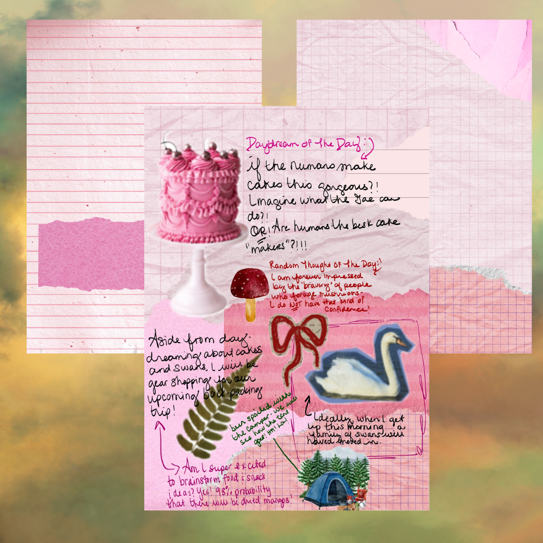 coquette dreamy journal