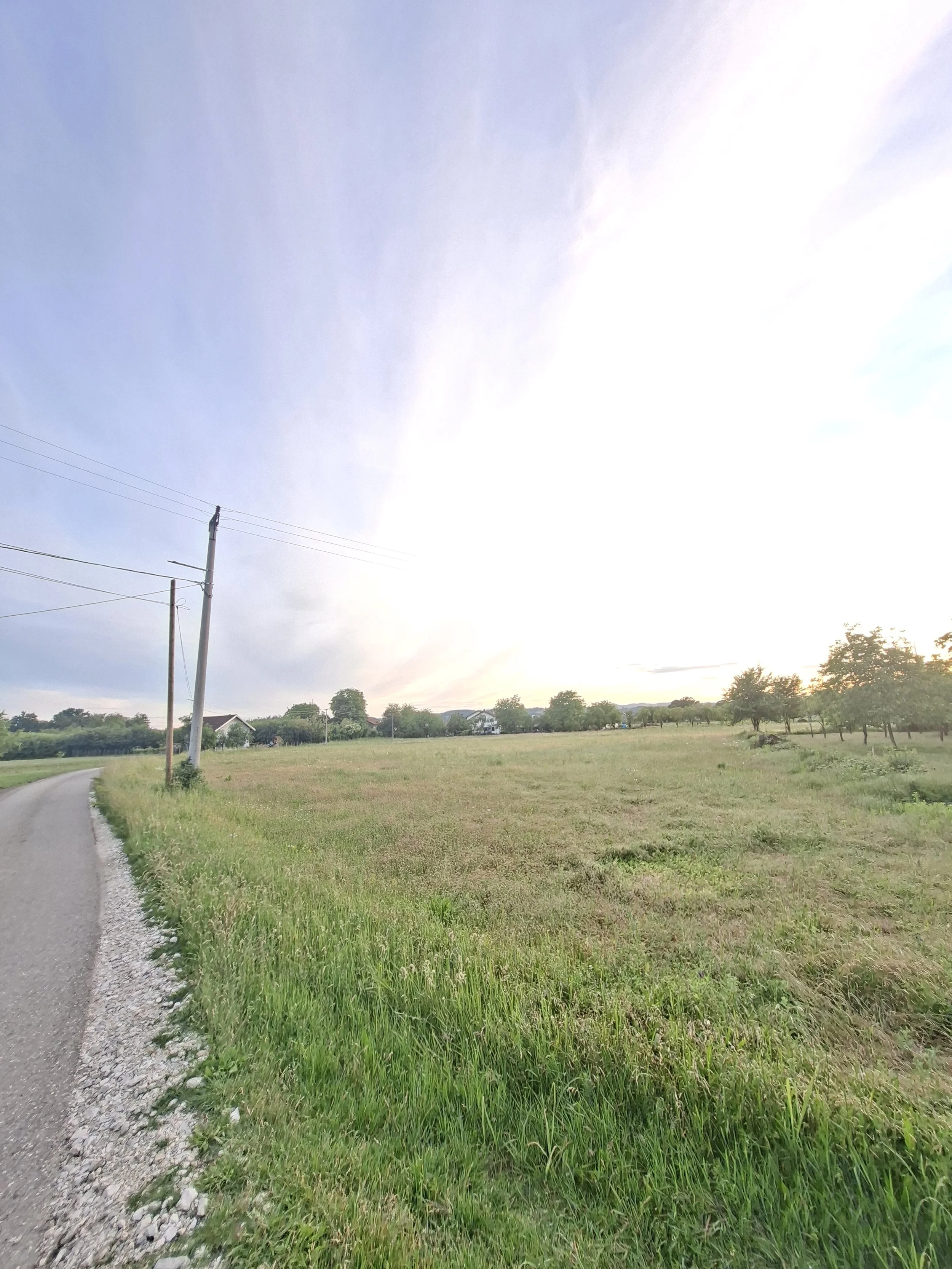20260518_195347.jpg
