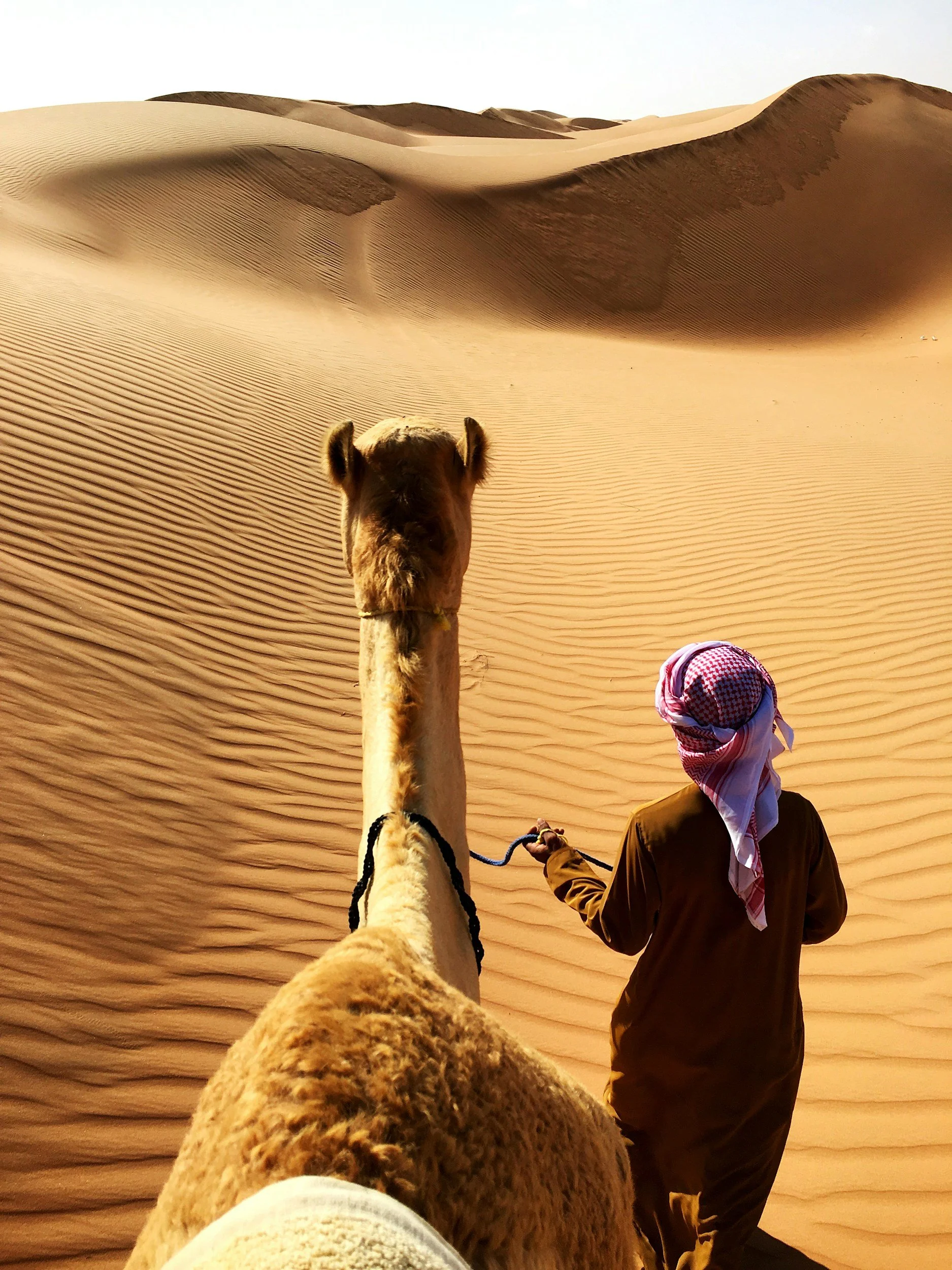 A person wearing traditional Middle Eastern clothing, including a headscarf, leading a camel through a vast desert with rolling sand dunes.
