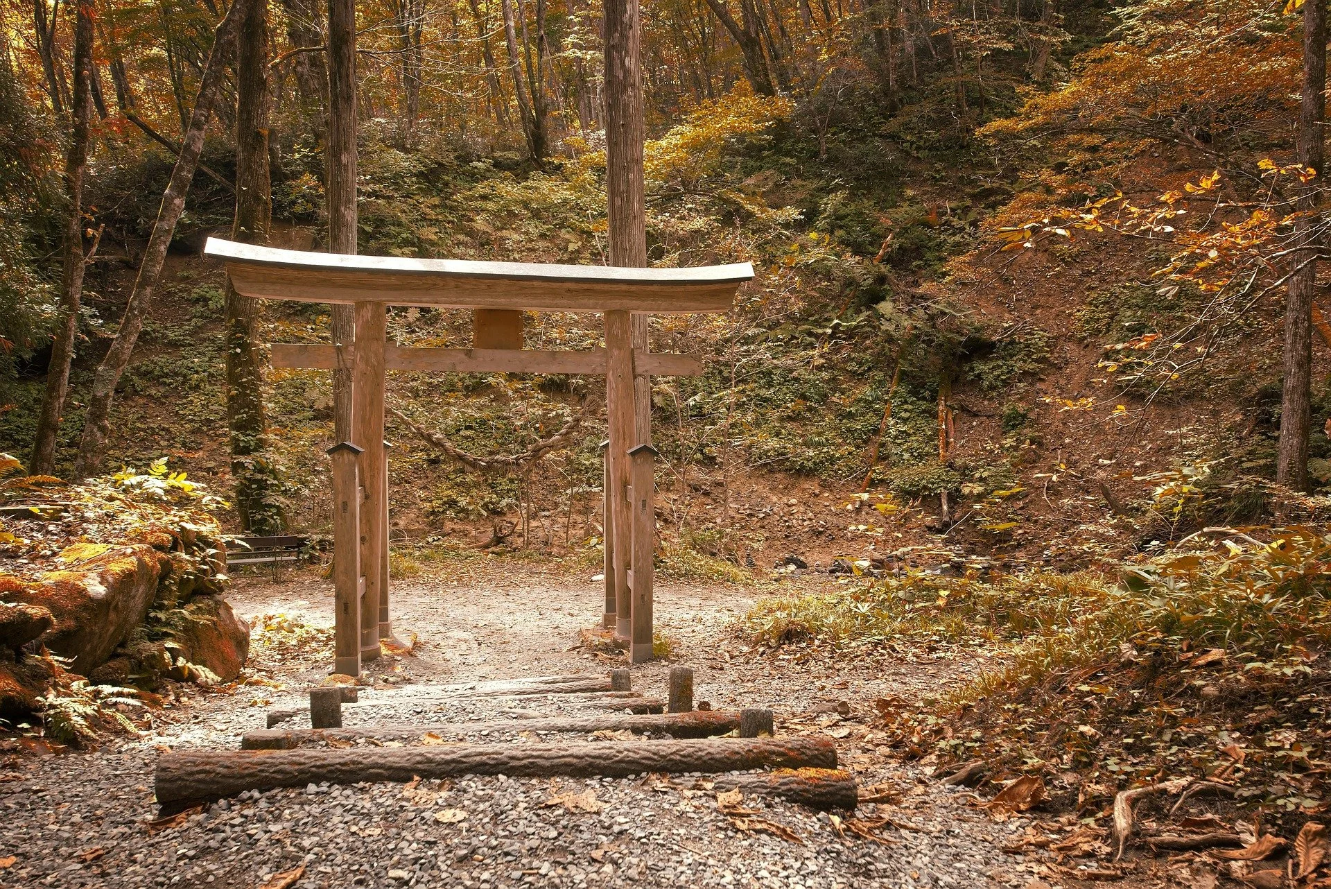 A traditional Japanese torii gate in a forest, with fallen logs and gravel on the ground, surrounded by autumn trees.