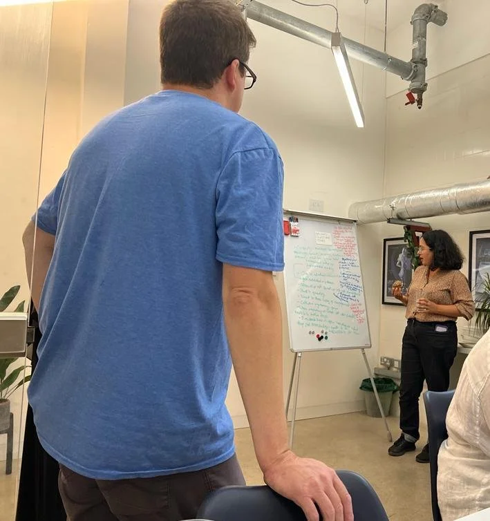 High Energy Development Sessions at PoliMonitor