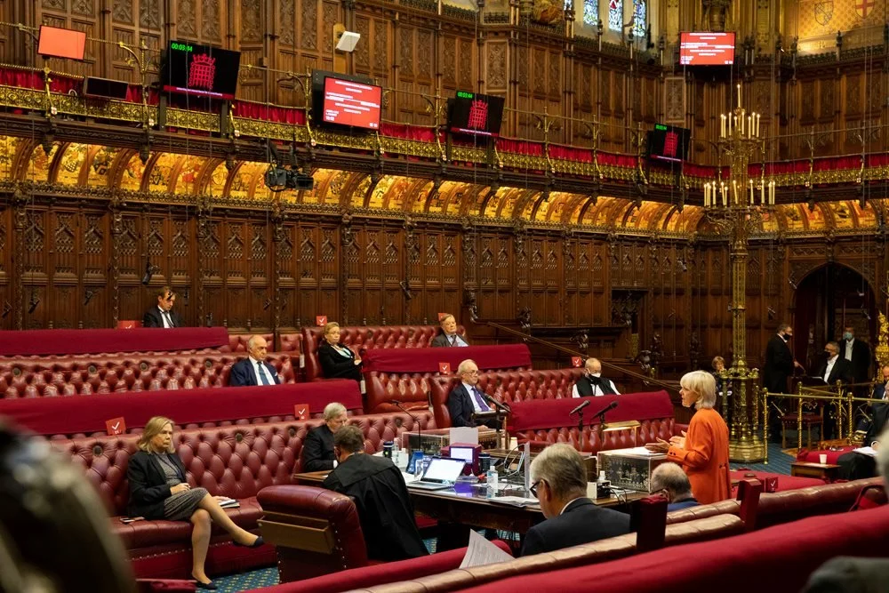 How a political monitoring service can help small charities campaign more effectively in the House of Lords