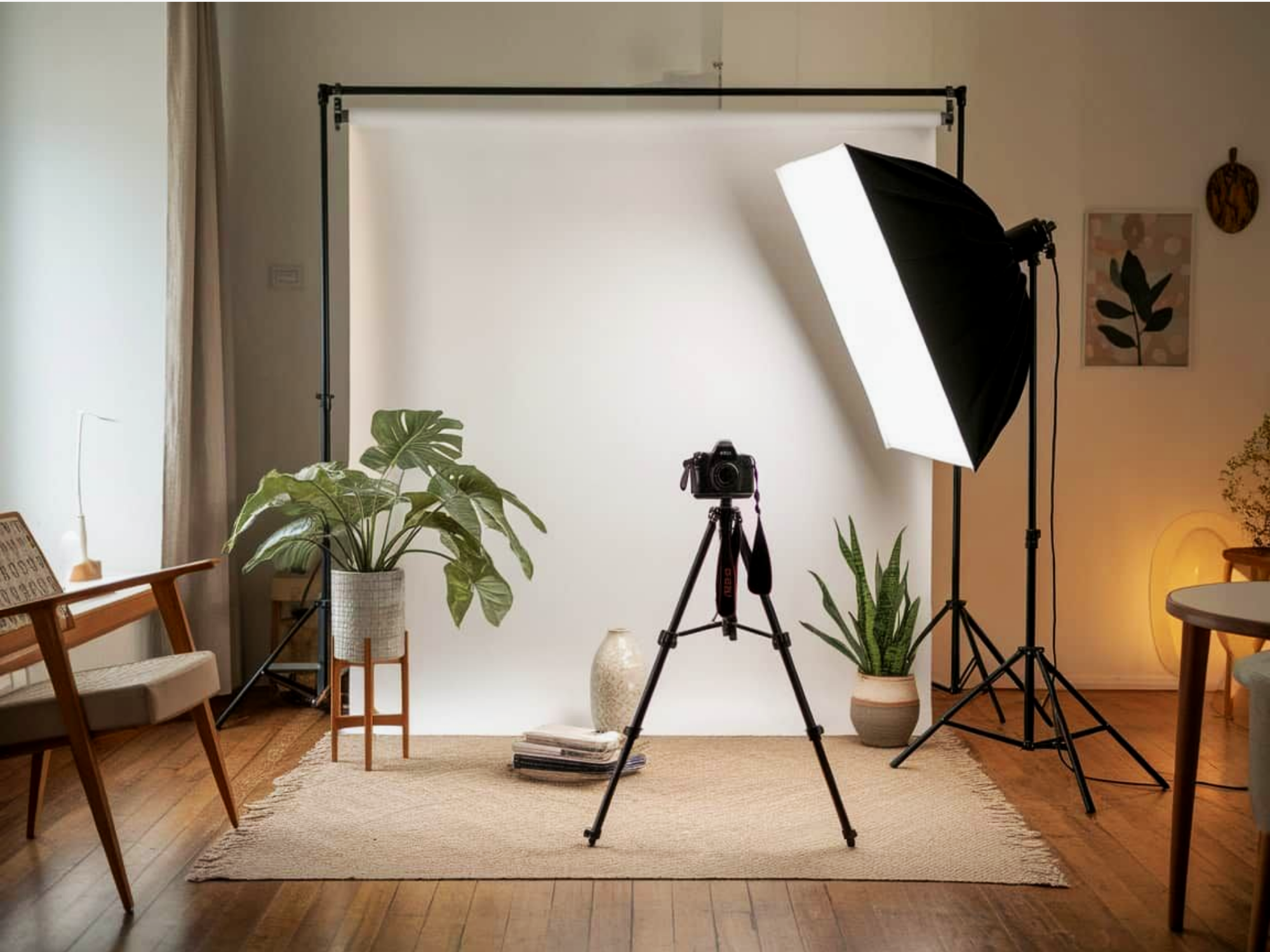 Indoor photography setup with a white backdrop, camera on tripod, professional lighting, and potted plants on hardwood floor.
