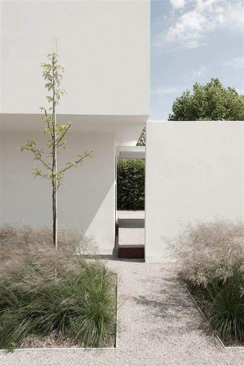 The discipline of restraint