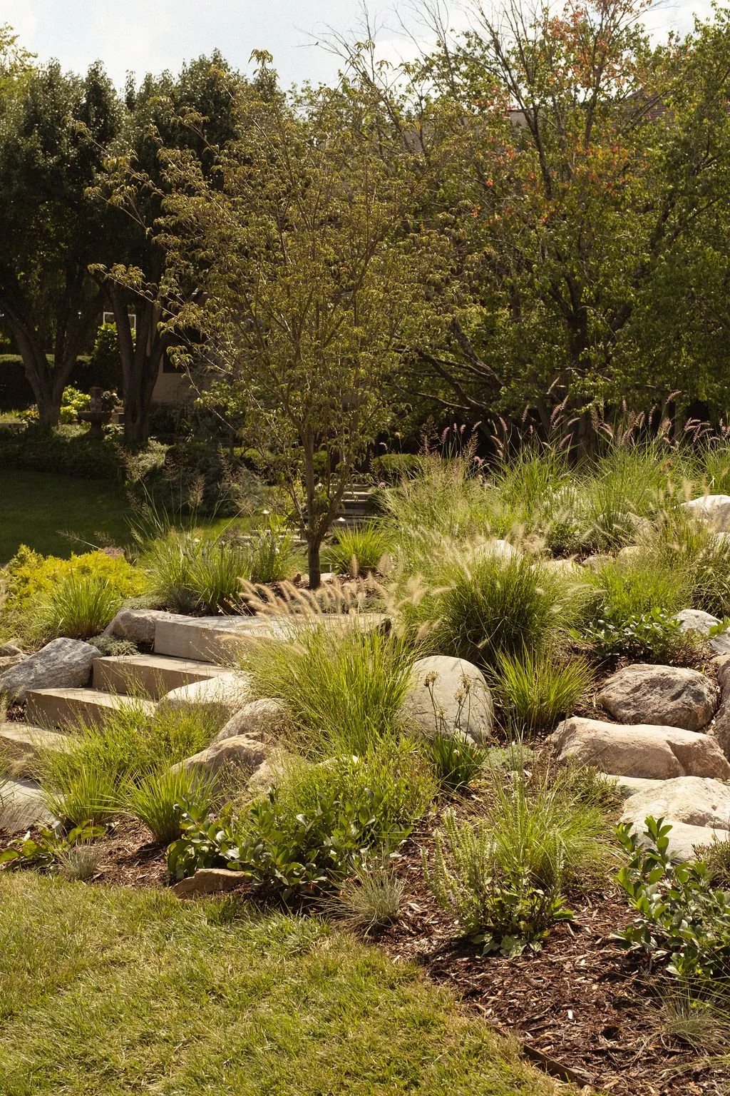 A landscaped garden with various plants, rocks, and a small tree, surrounded by lush greenery and trees in the background under clear weather.