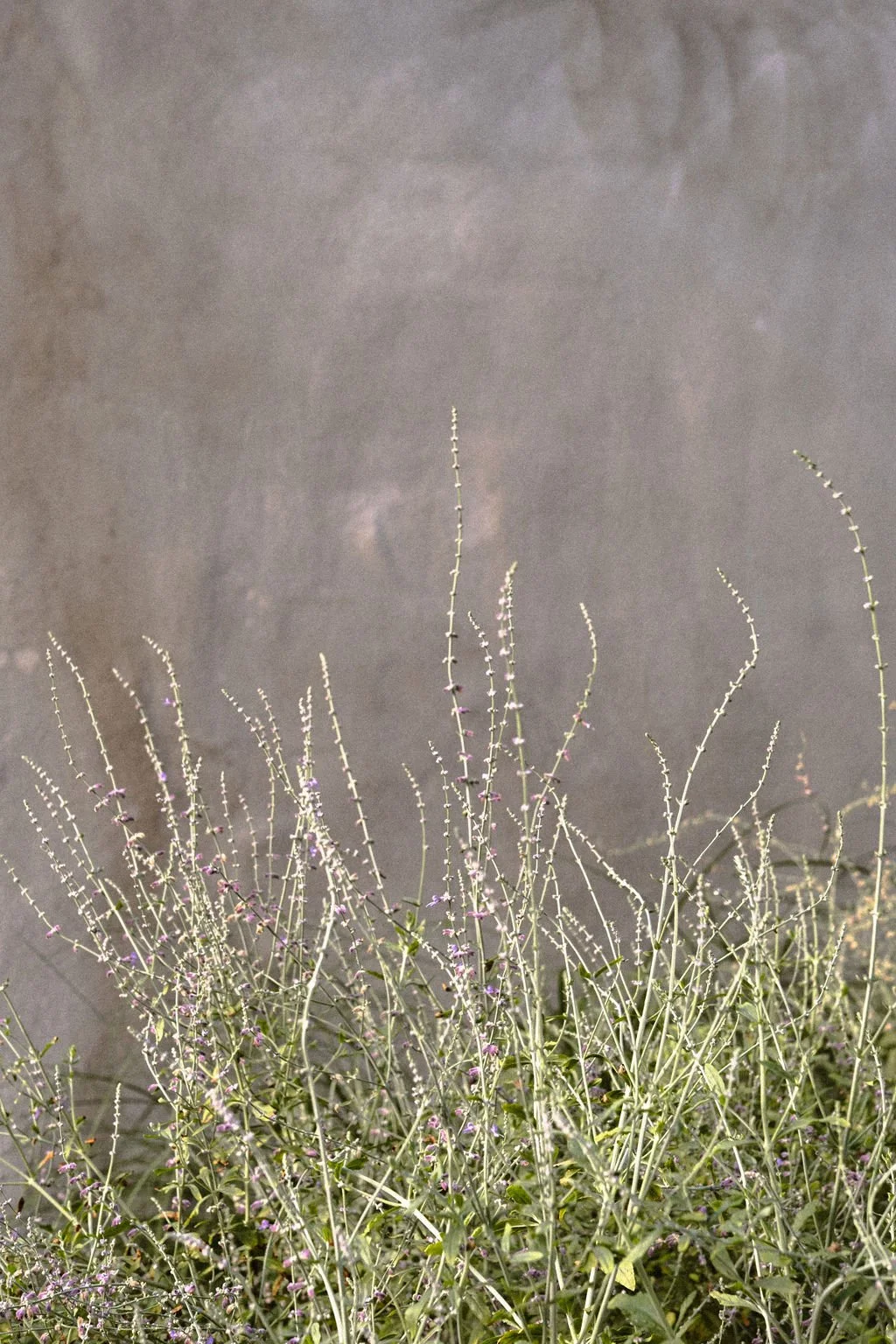 Clothesline with colorful laundry hanging against gray sky