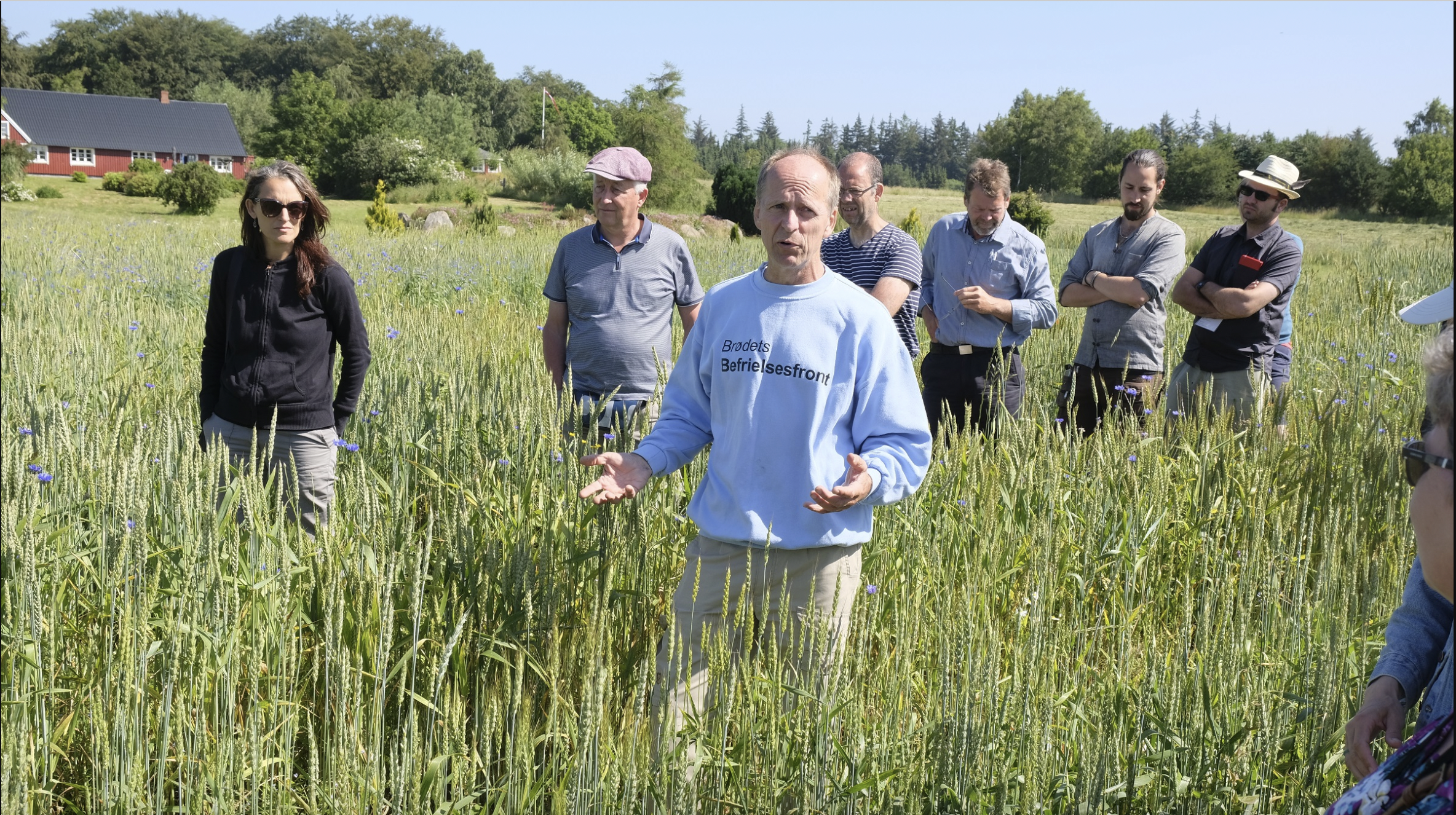 A man in a light blue sweatshirt with text on it is speaking to a group of people in a green field of tall wheat. The group includes women and men of various ages, some wearing sunglasses and hats, listening attentively on a sunny day with a red house and trees in the background.