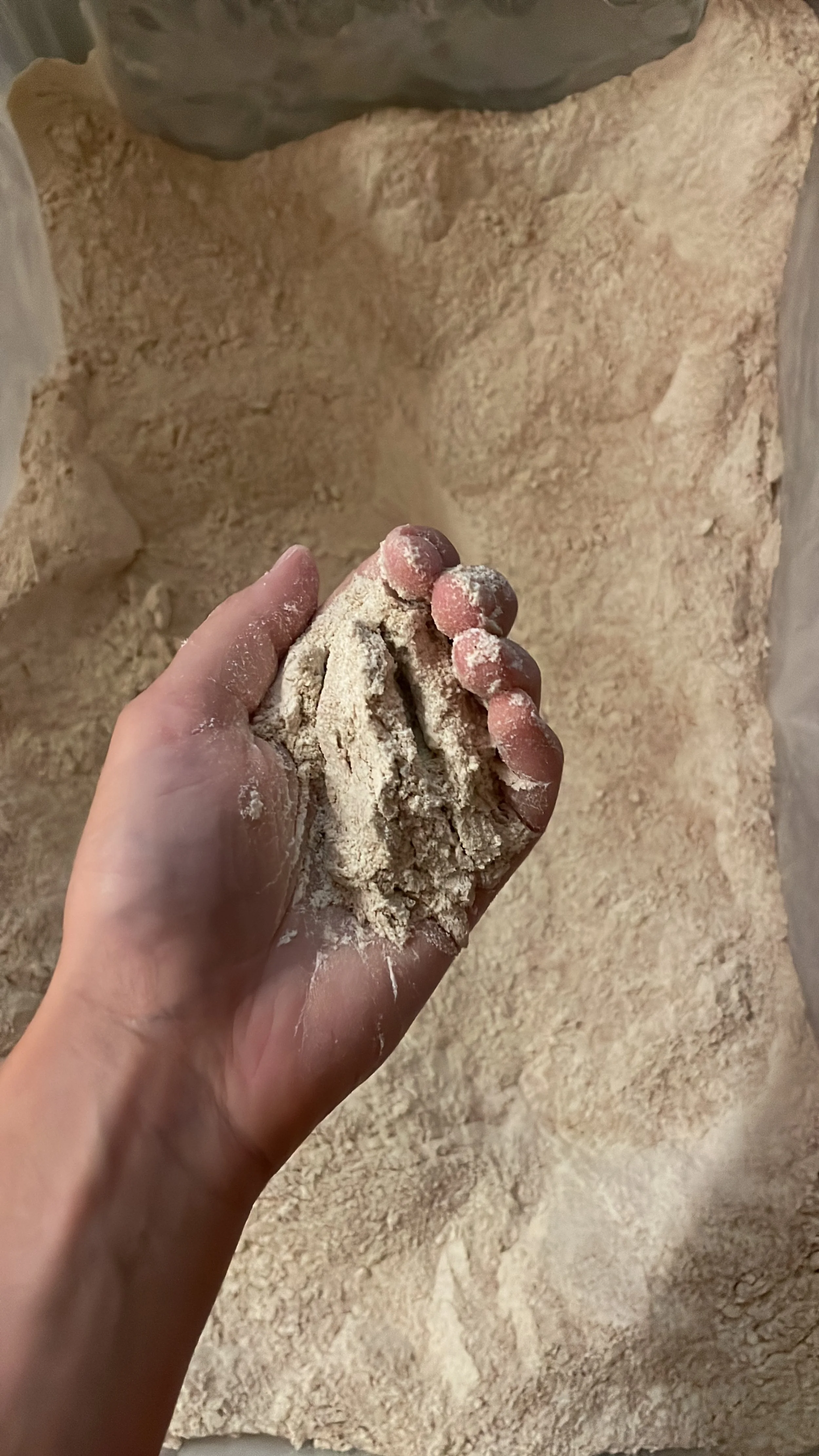 A hand holding a clump of dry, powdery dough with a dusting of flour, over a textured surface of similar flour or powdered substance.