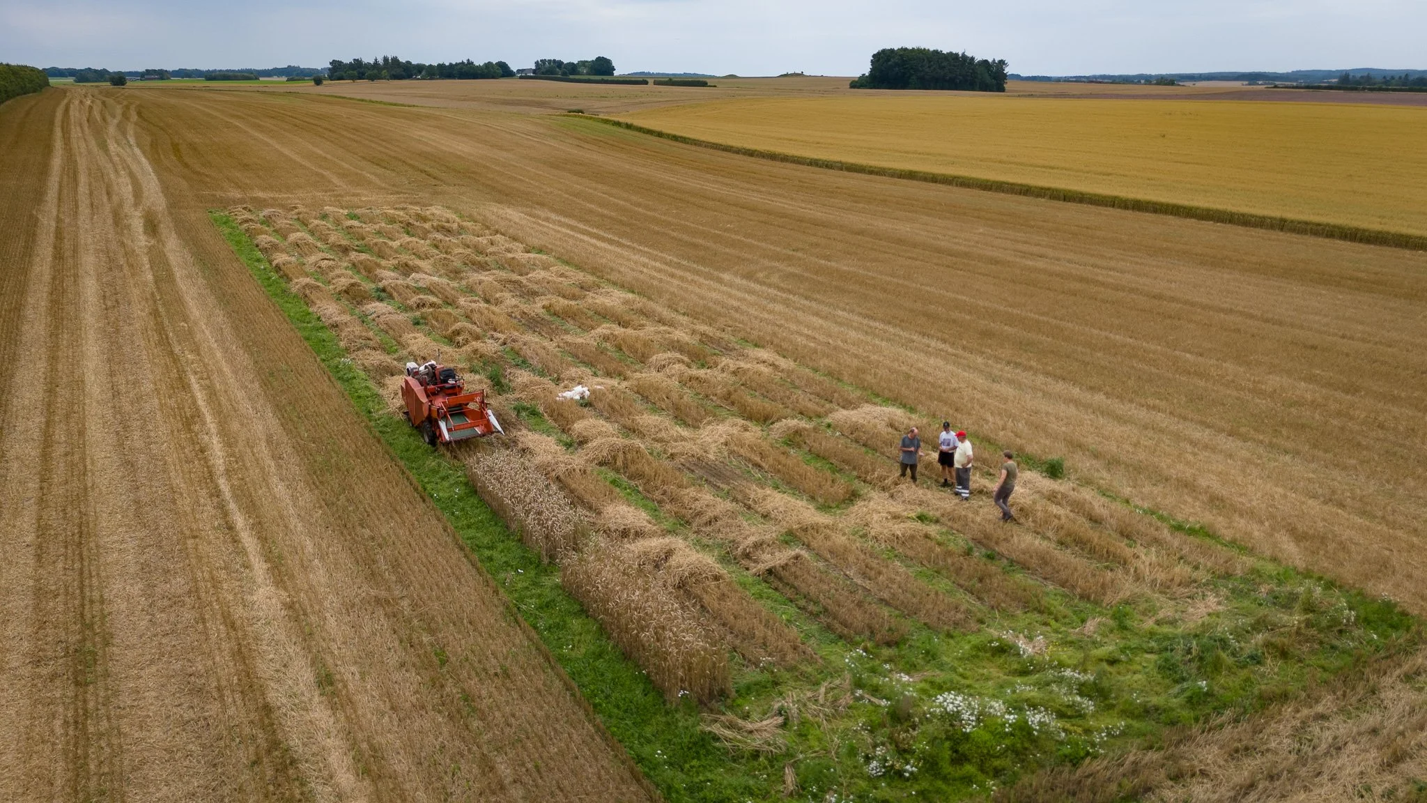 Aerial view of a harvested wheat field with a farm tractor, hay bales, and five people standing and talking near the hay bales.