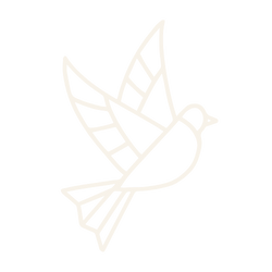 Outline drawing of a hummingbird in flight.