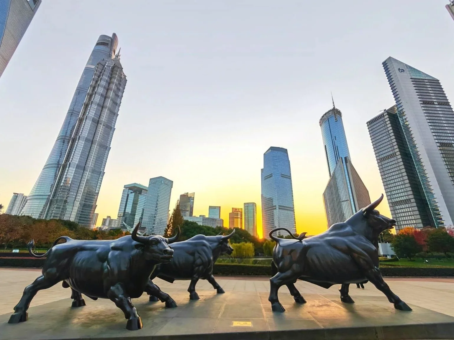 Statues of charging bulls in front of a city skyline with tall skyscrapers during sunset.