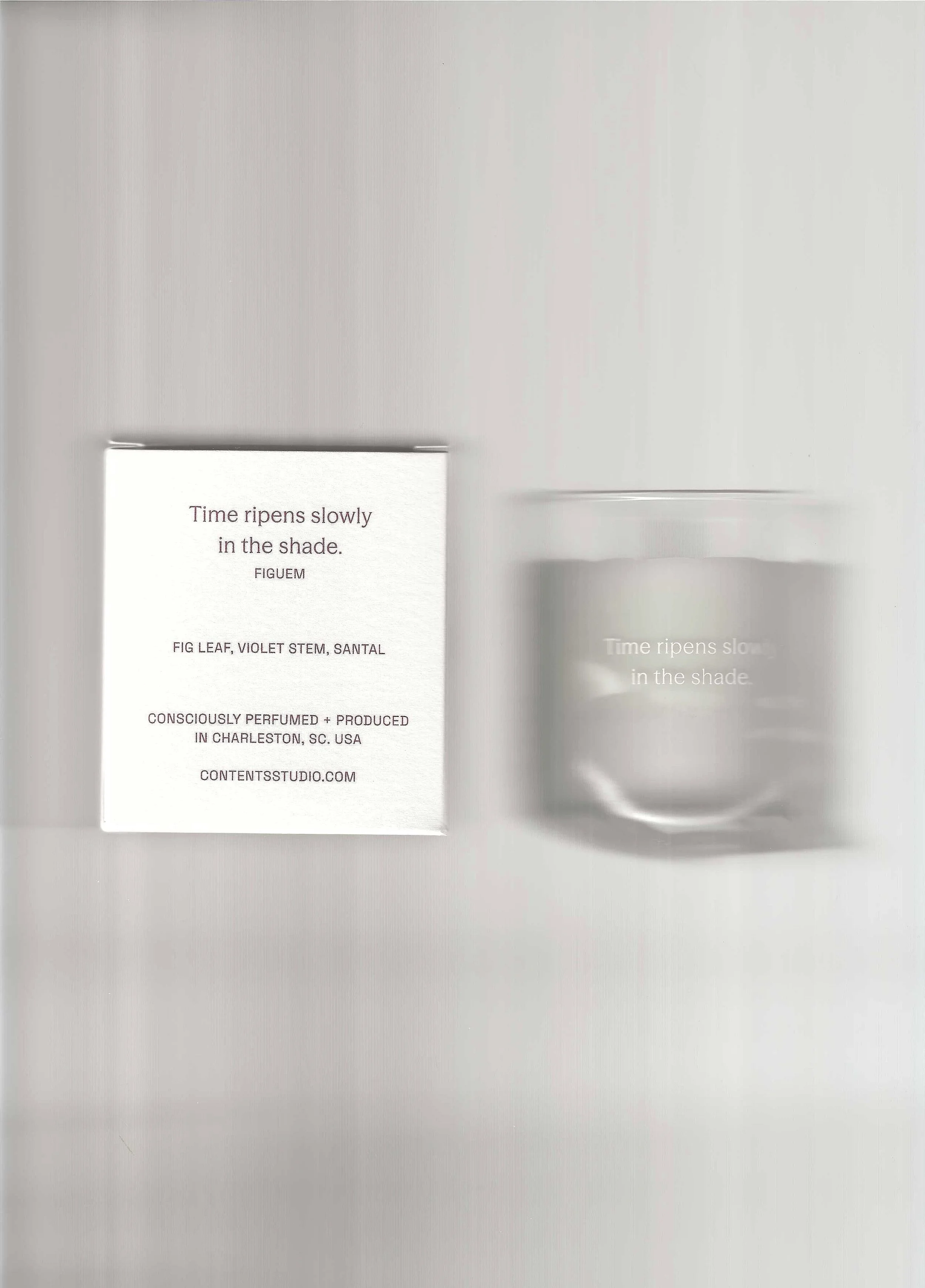 FIGUEM botanic candle back.jpeg