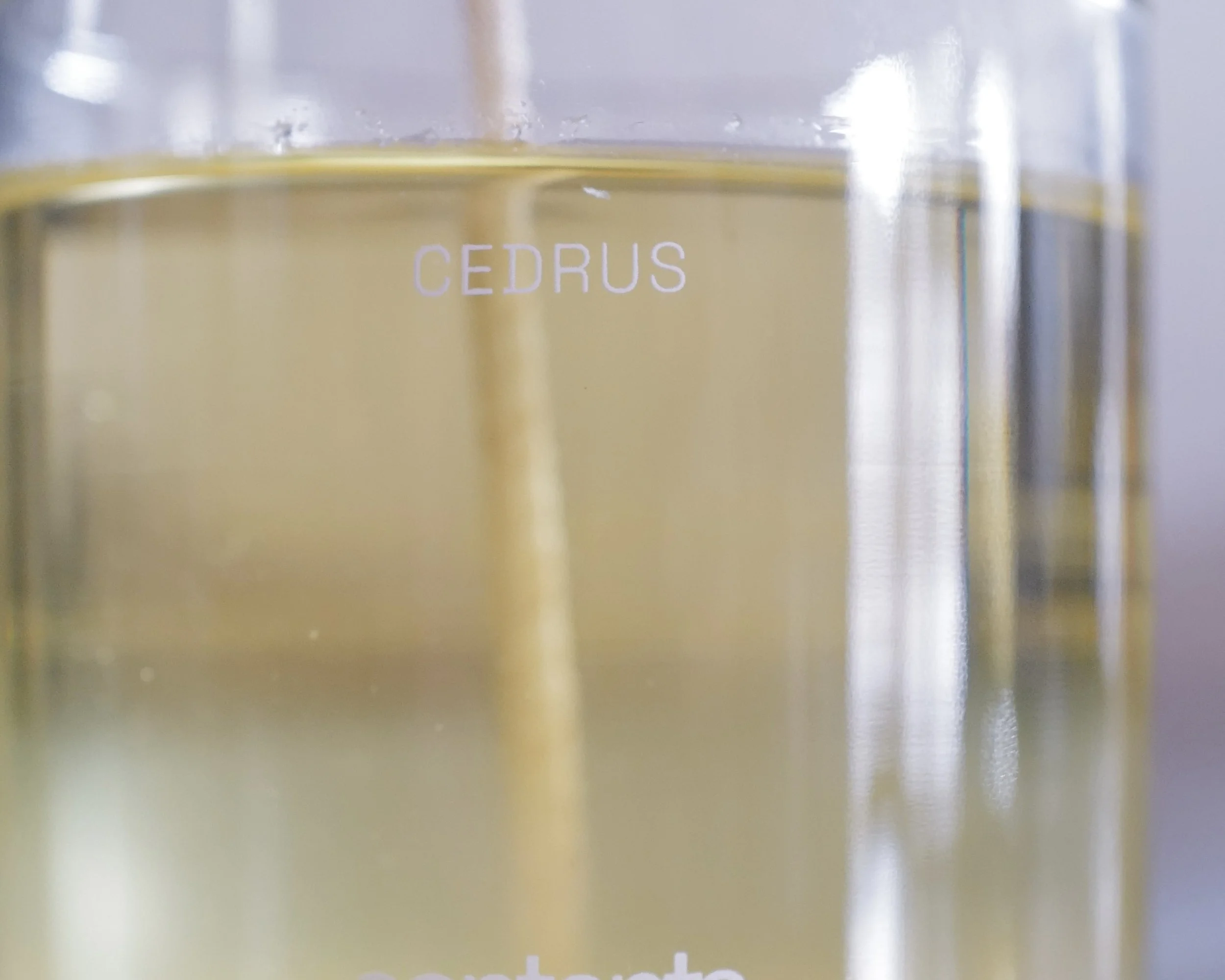 CEDRUS - candle