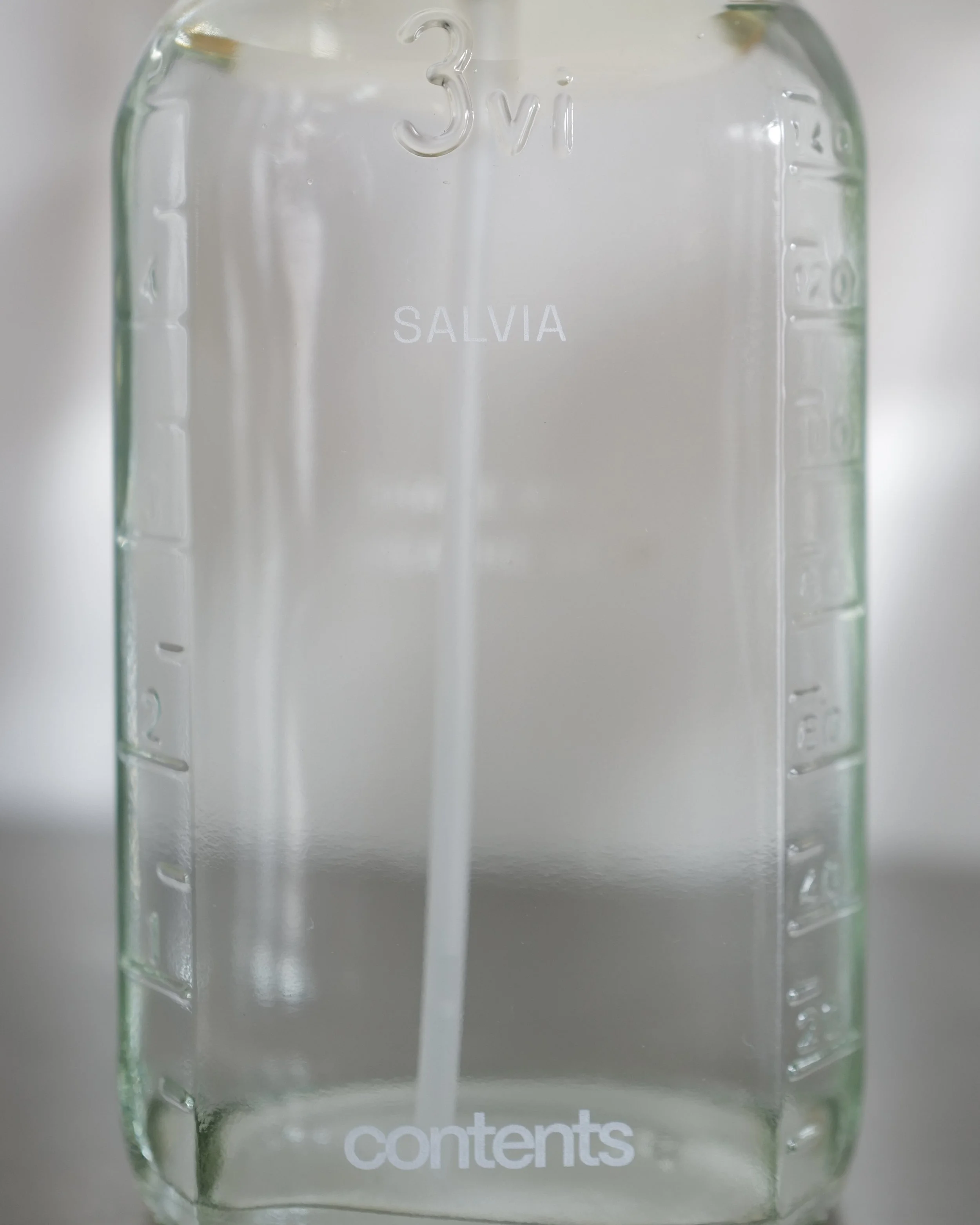 SALVIA SPRAY MACRO.JPG