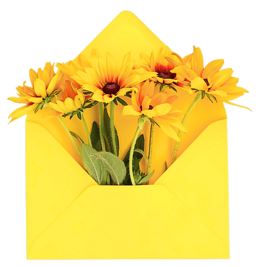 Yellow envelope with sunflowers inside.