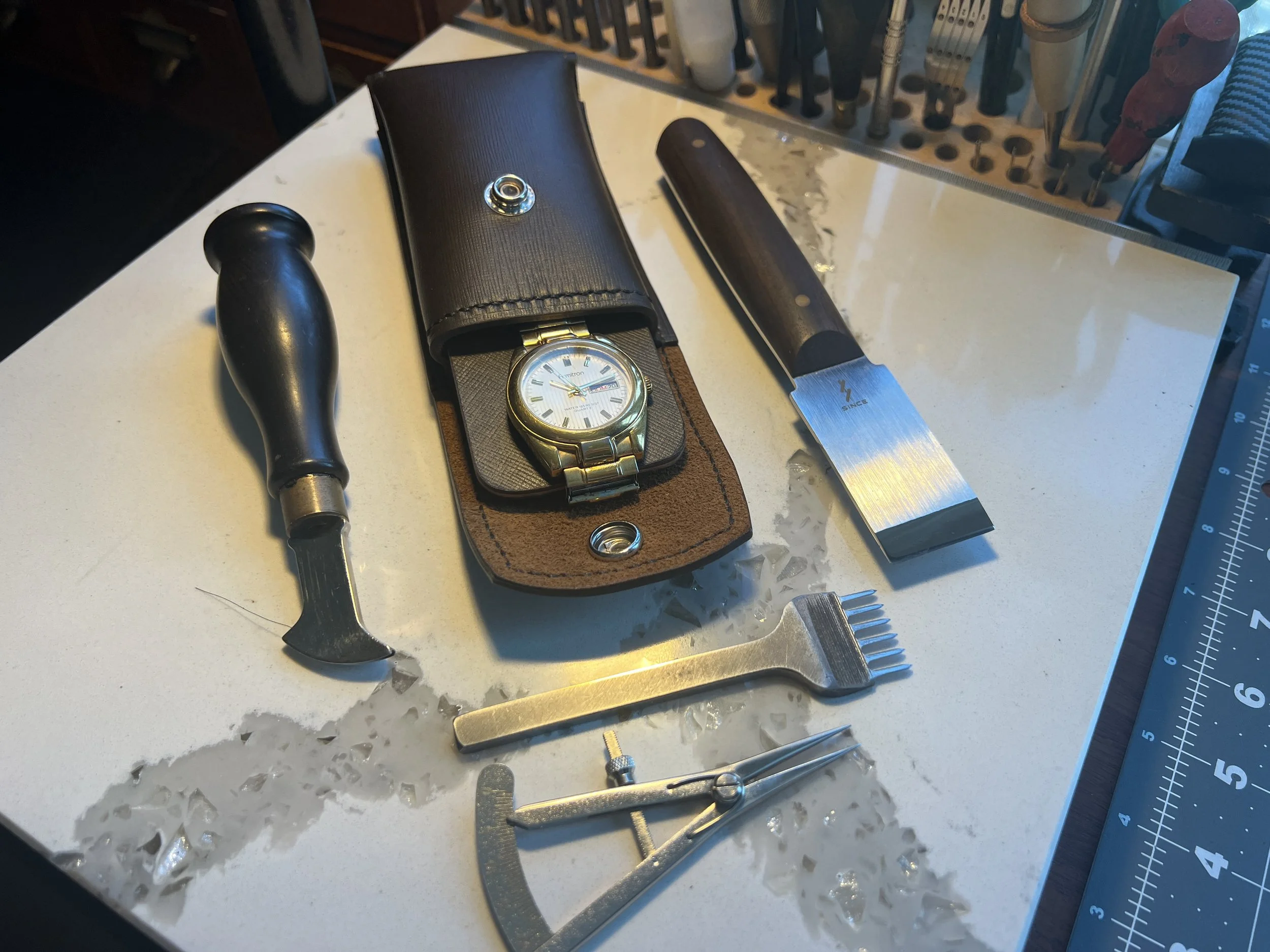 Luxury Travel Watch Case