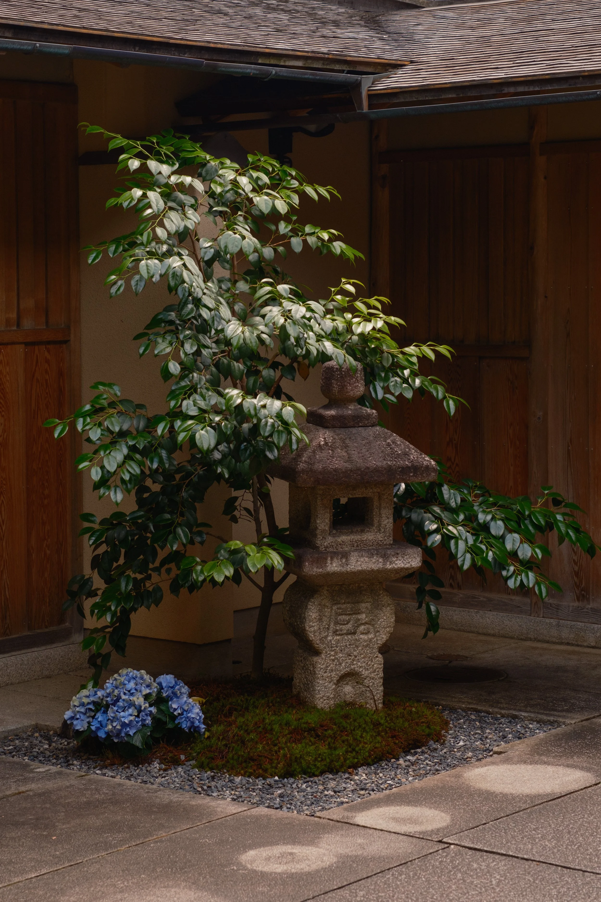 Fotograf_Lili_Zaneta_Japan-1.jpg