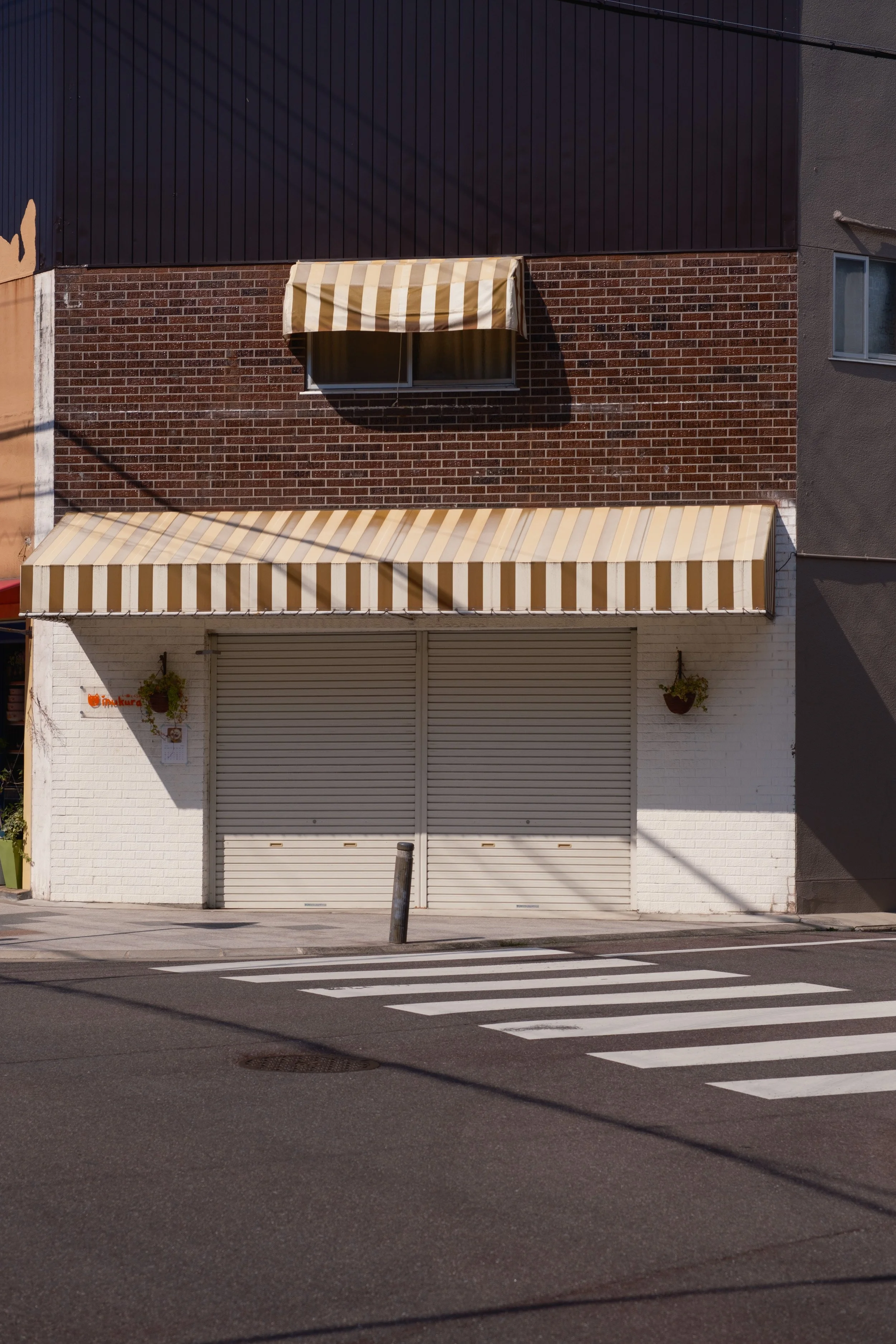 Fotograf_Lili_Zaneta_Japan.jpg