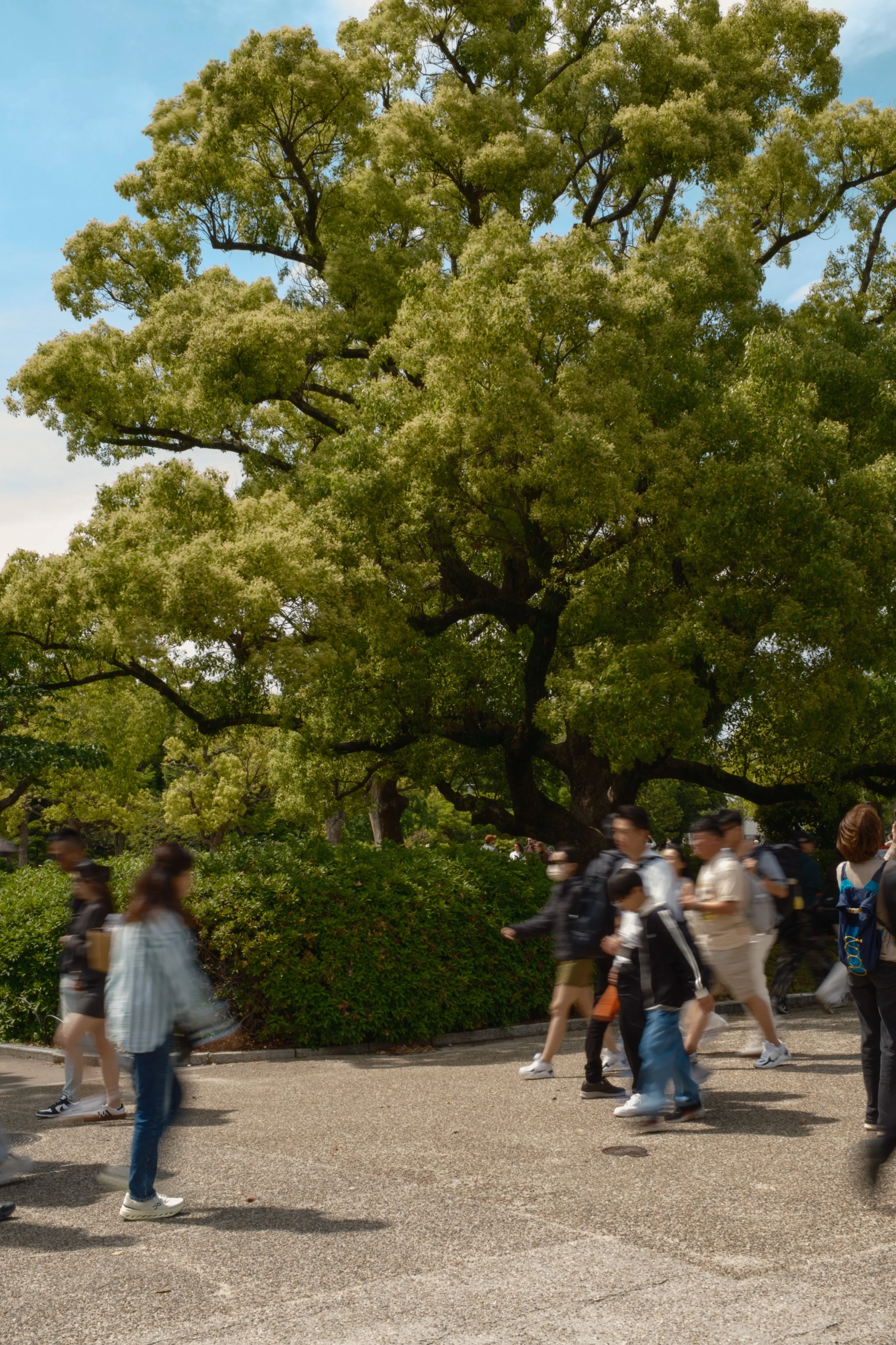 Fotograf_Lili_Zaneta_Japan-34.jpg