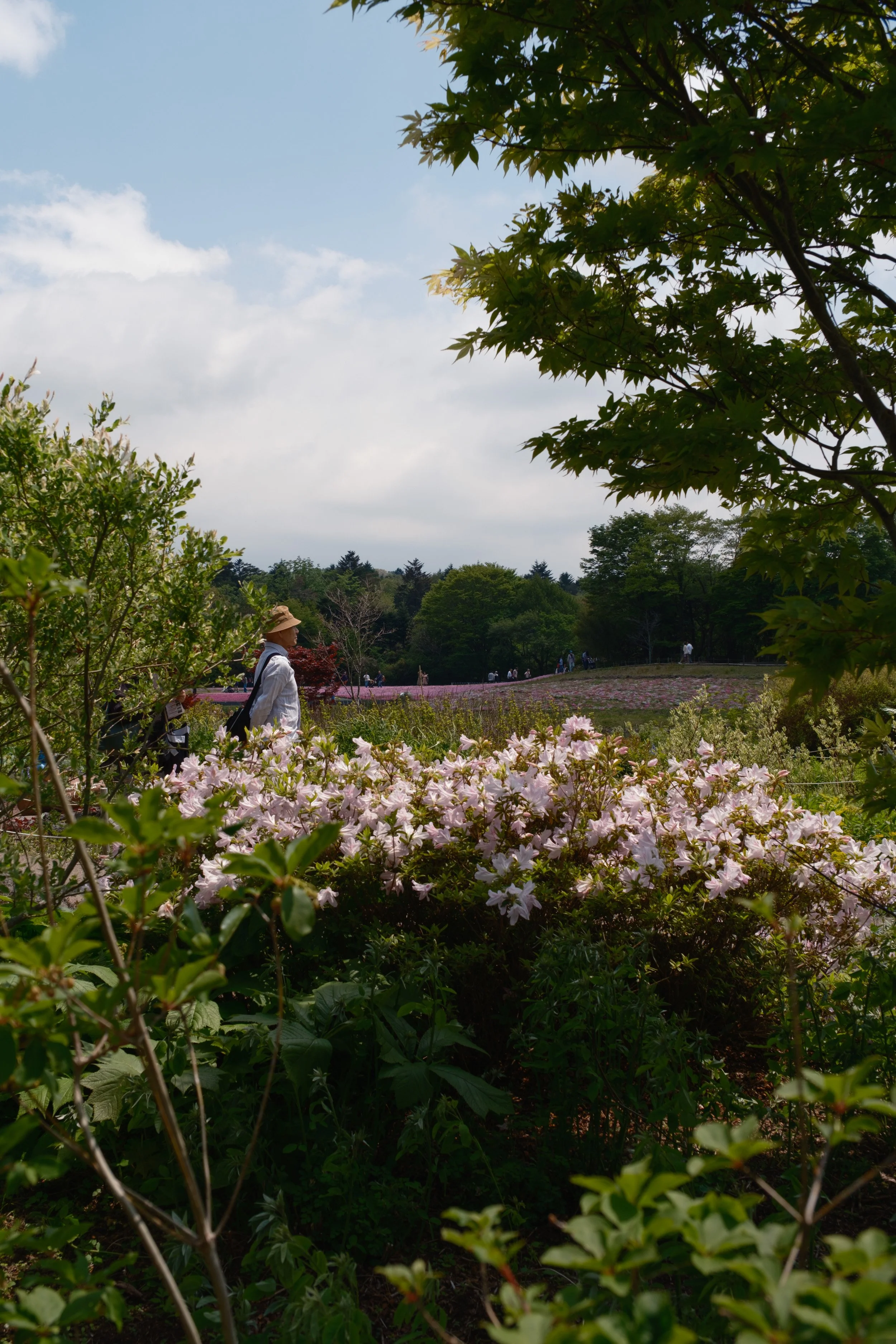 Fotograf_Lili_Zaneta_Japan-68.jpg