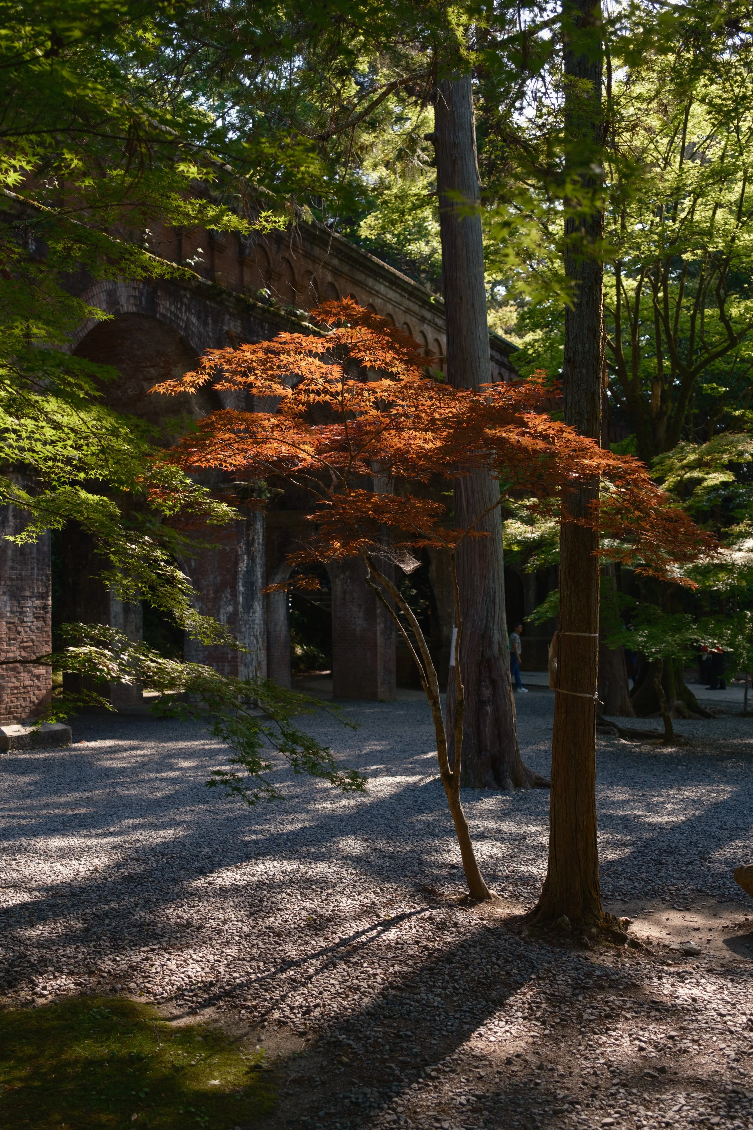 Fotograf_Lili_Zaneta_Japan-11.jpg