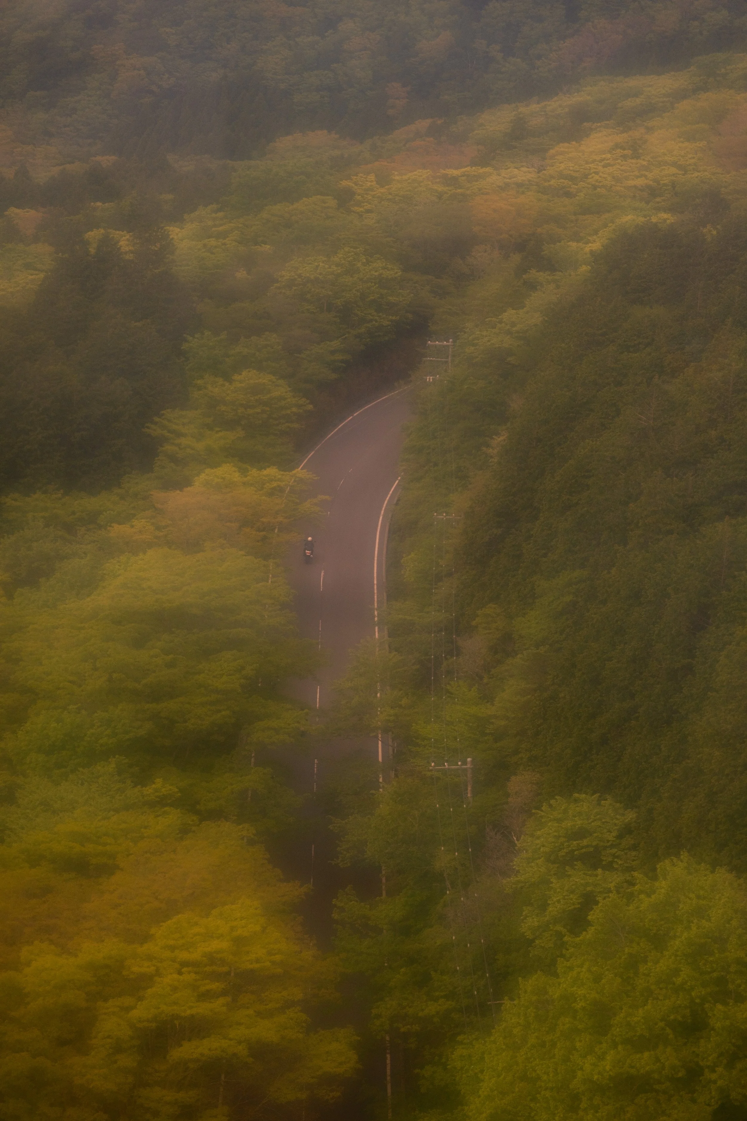 Fotograf_Lili_Zaneta_Japan-78.jpg