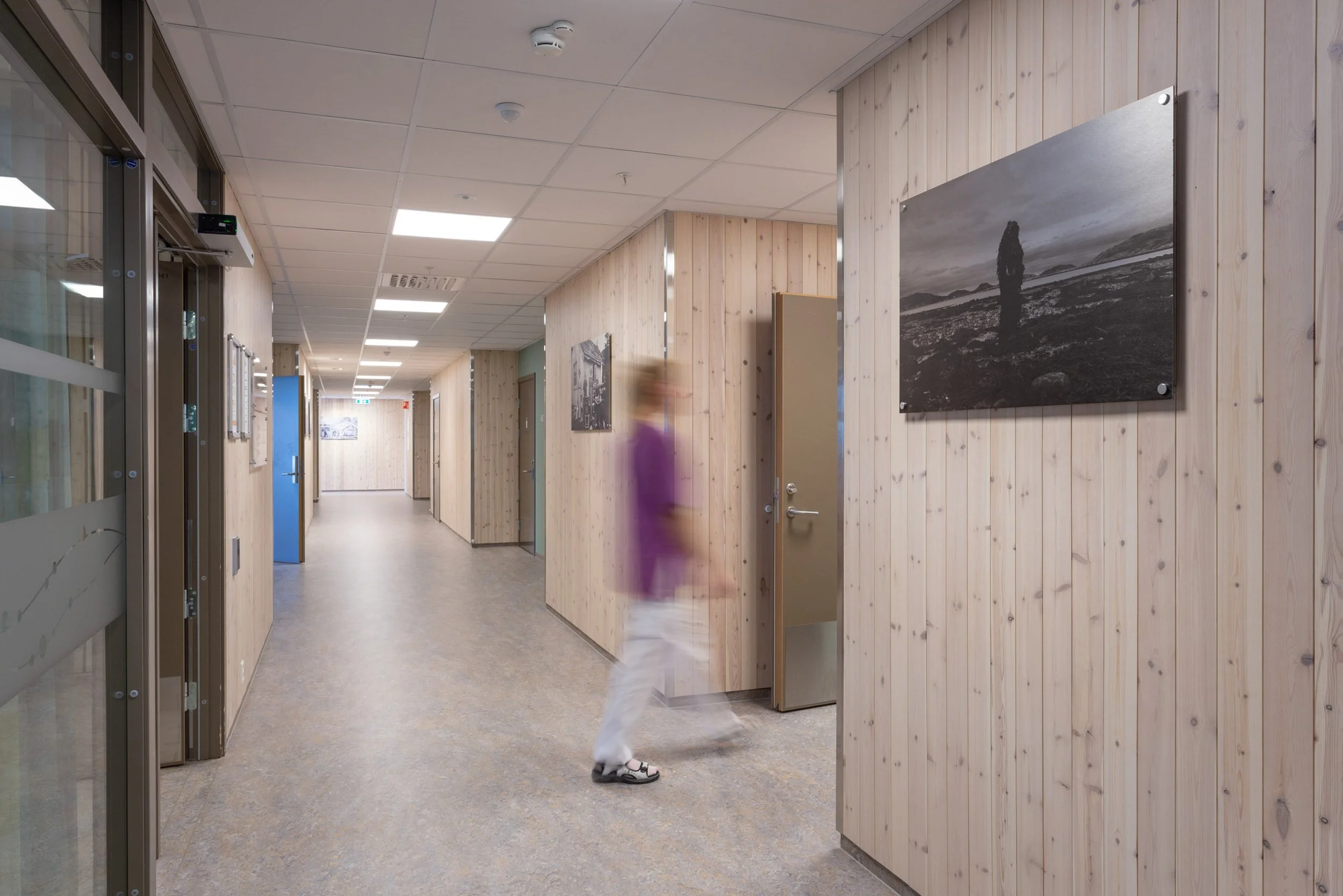 Dokumentasjon av kunstarrangement under Art in Åfjor