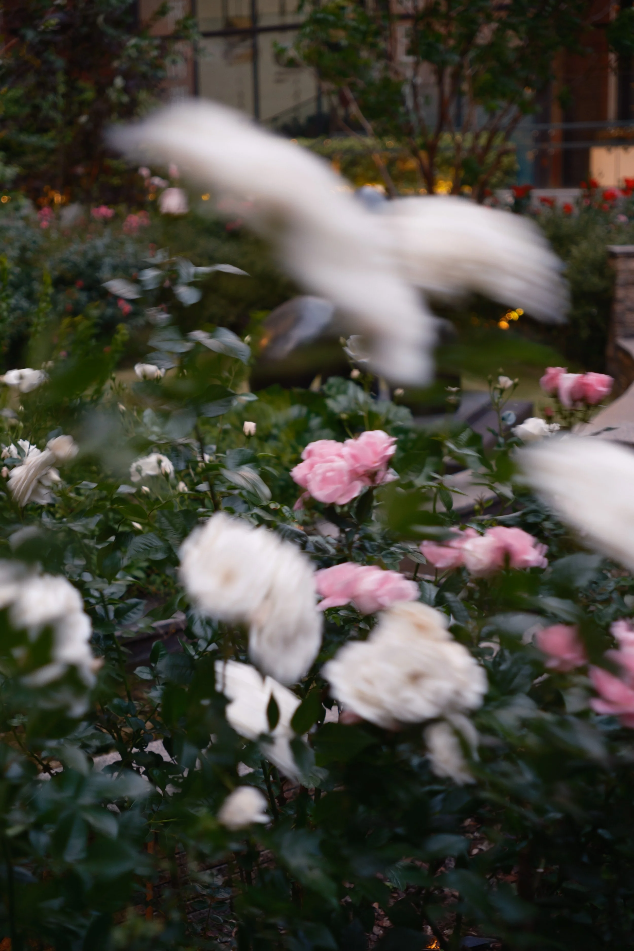 Fotograf_Lili_Zaneta_Japan-58.jpg
