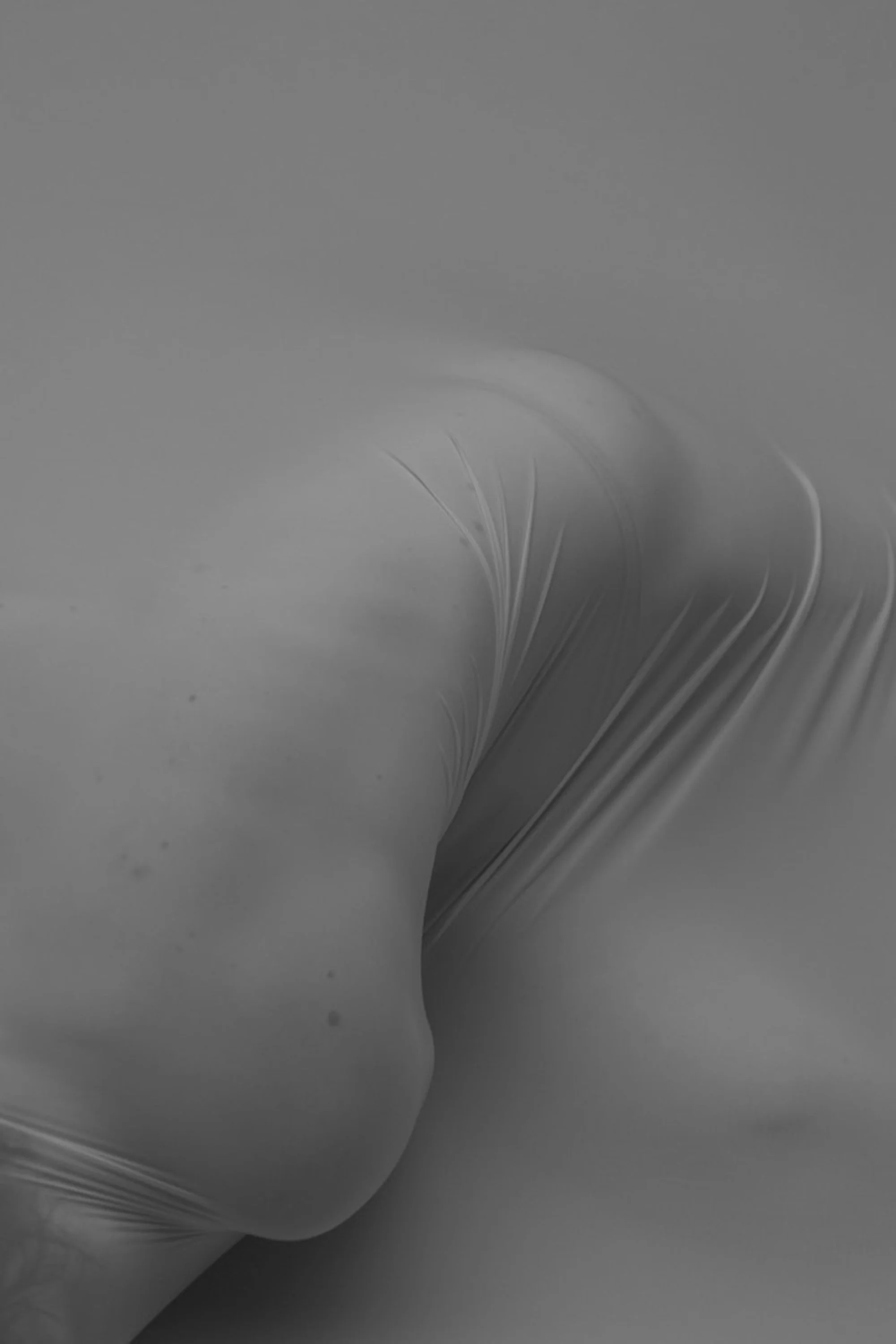 Dokumentasjon av forestillingen «En Caul» ved Rosendal Teater – foto: Lili Zaneta