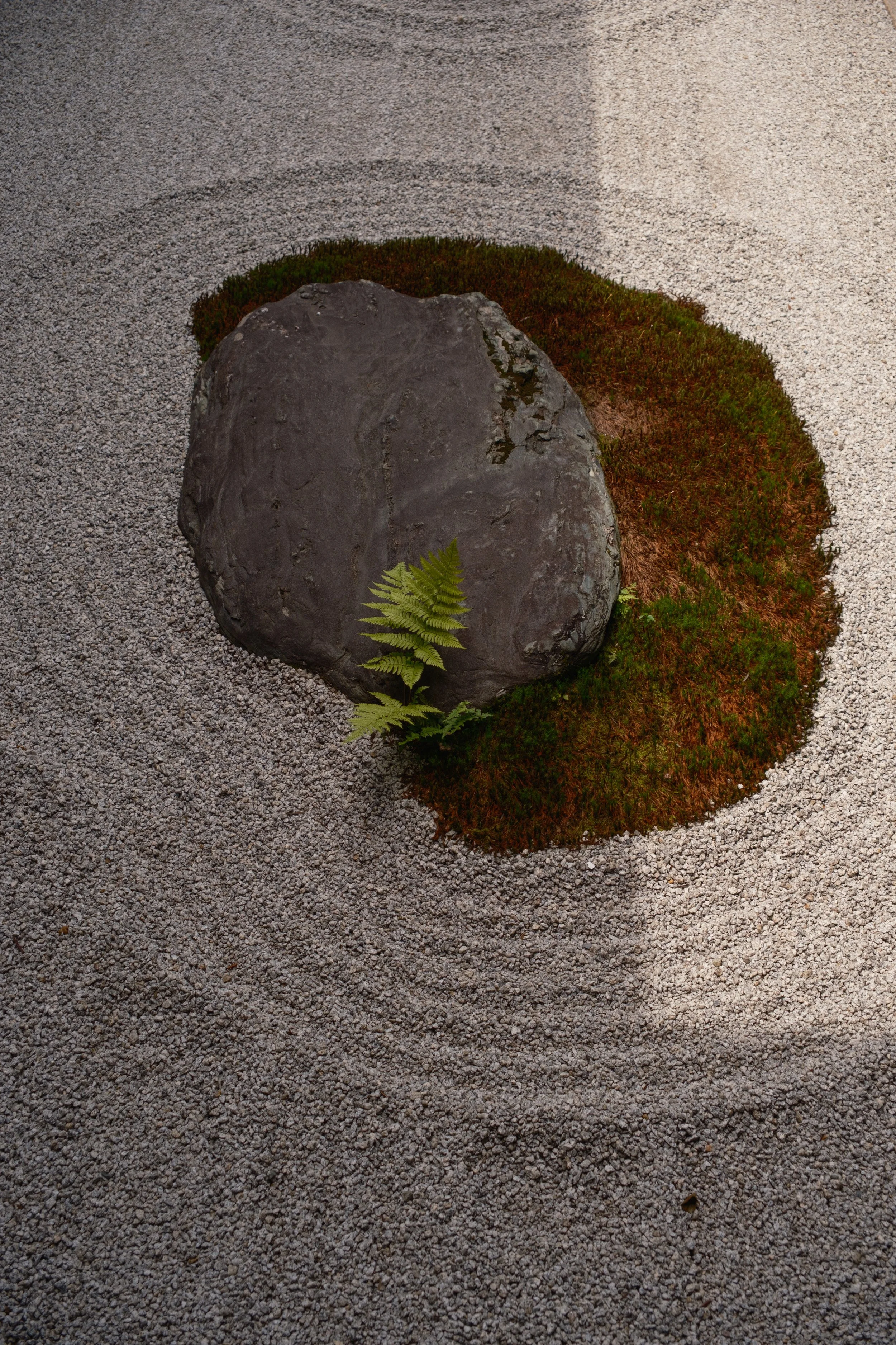 Fotograf_Lili_Zaneta_Japan-3.jpg