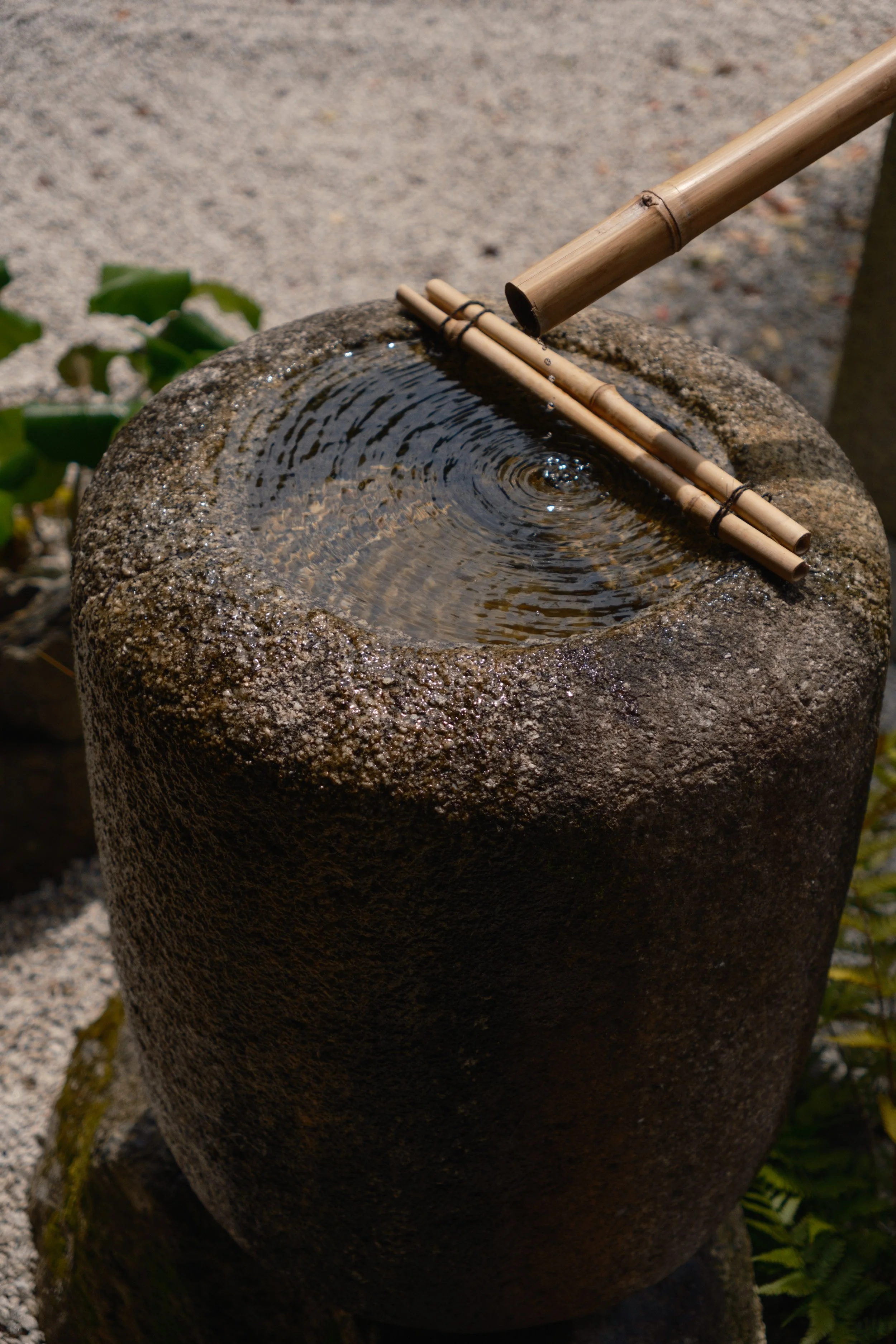 Fotograf_Lili_Zaneta_Japan-2.jpg
