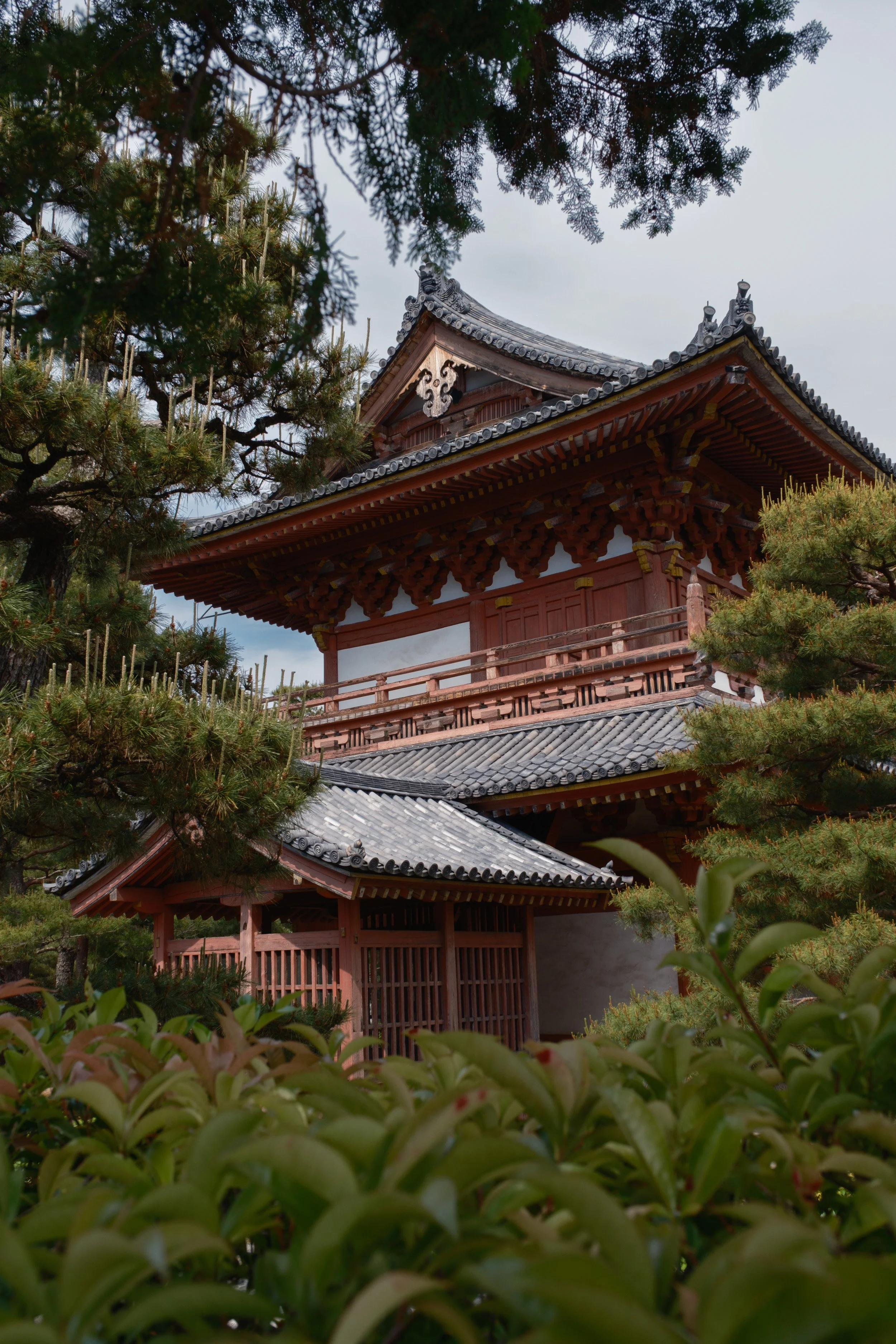 Fotograf_Lili_Zaneta_Japan-5.jpg